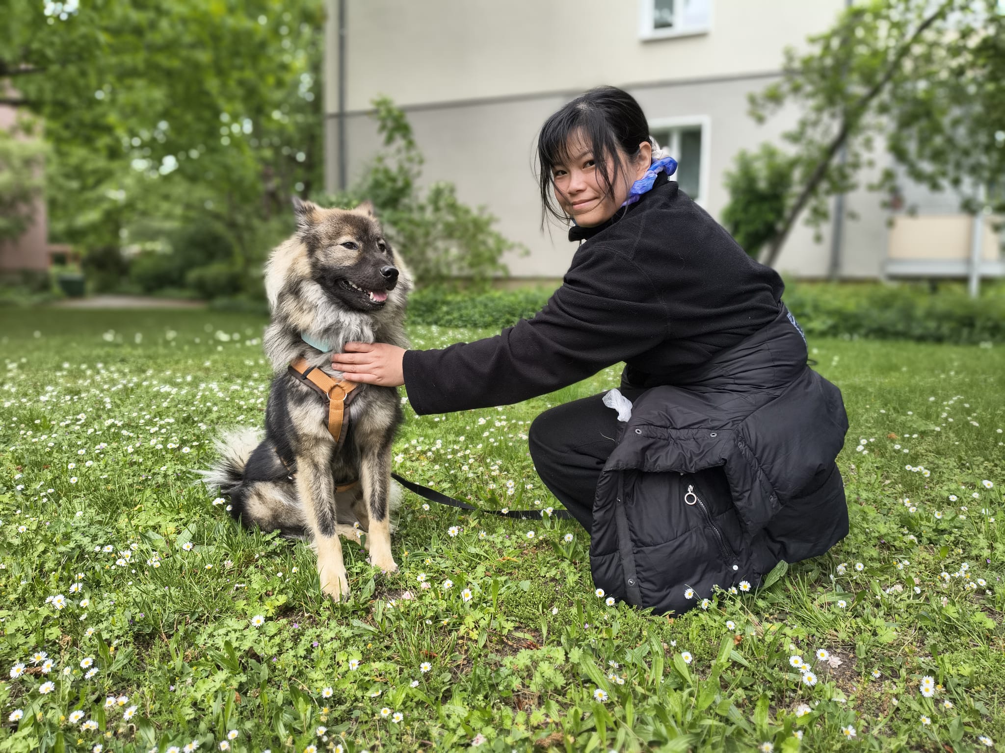 image-9