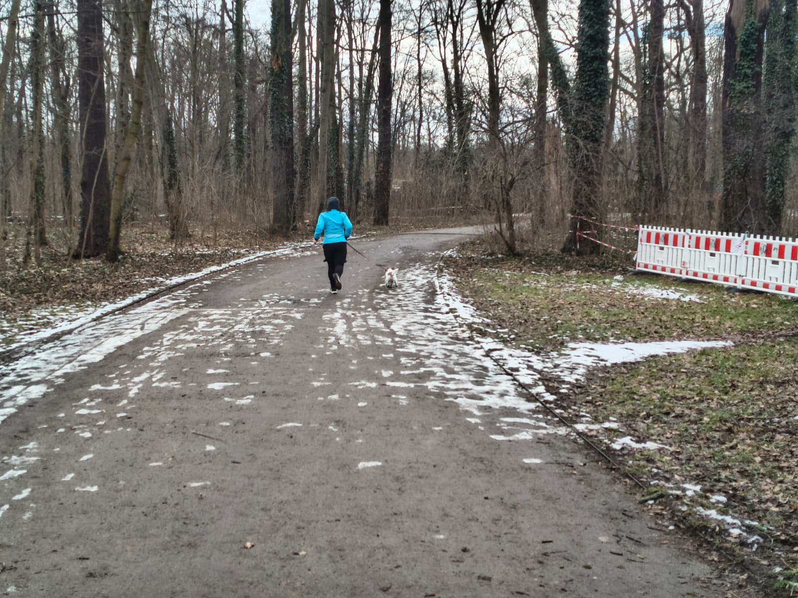 image-8