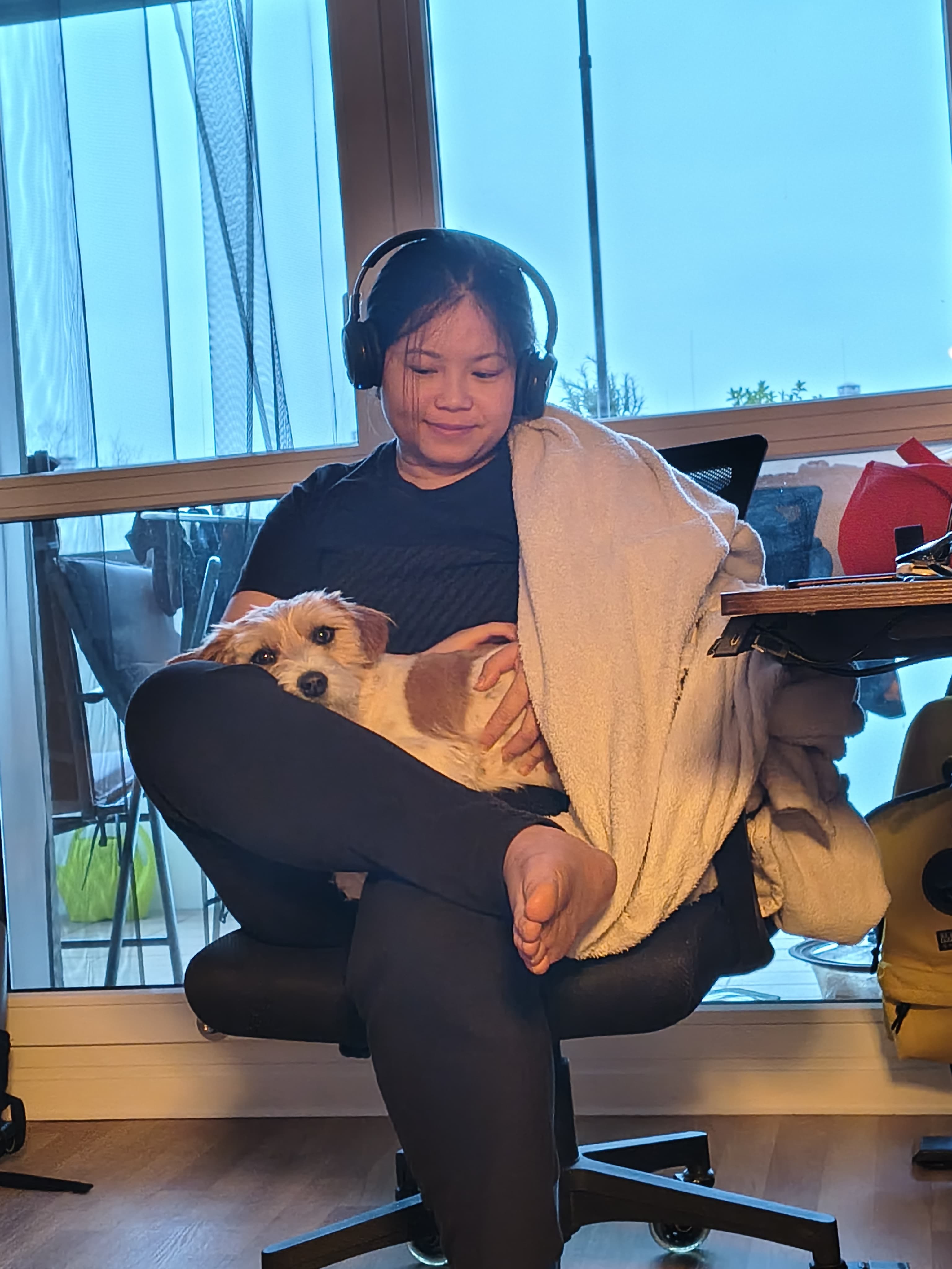 image-12