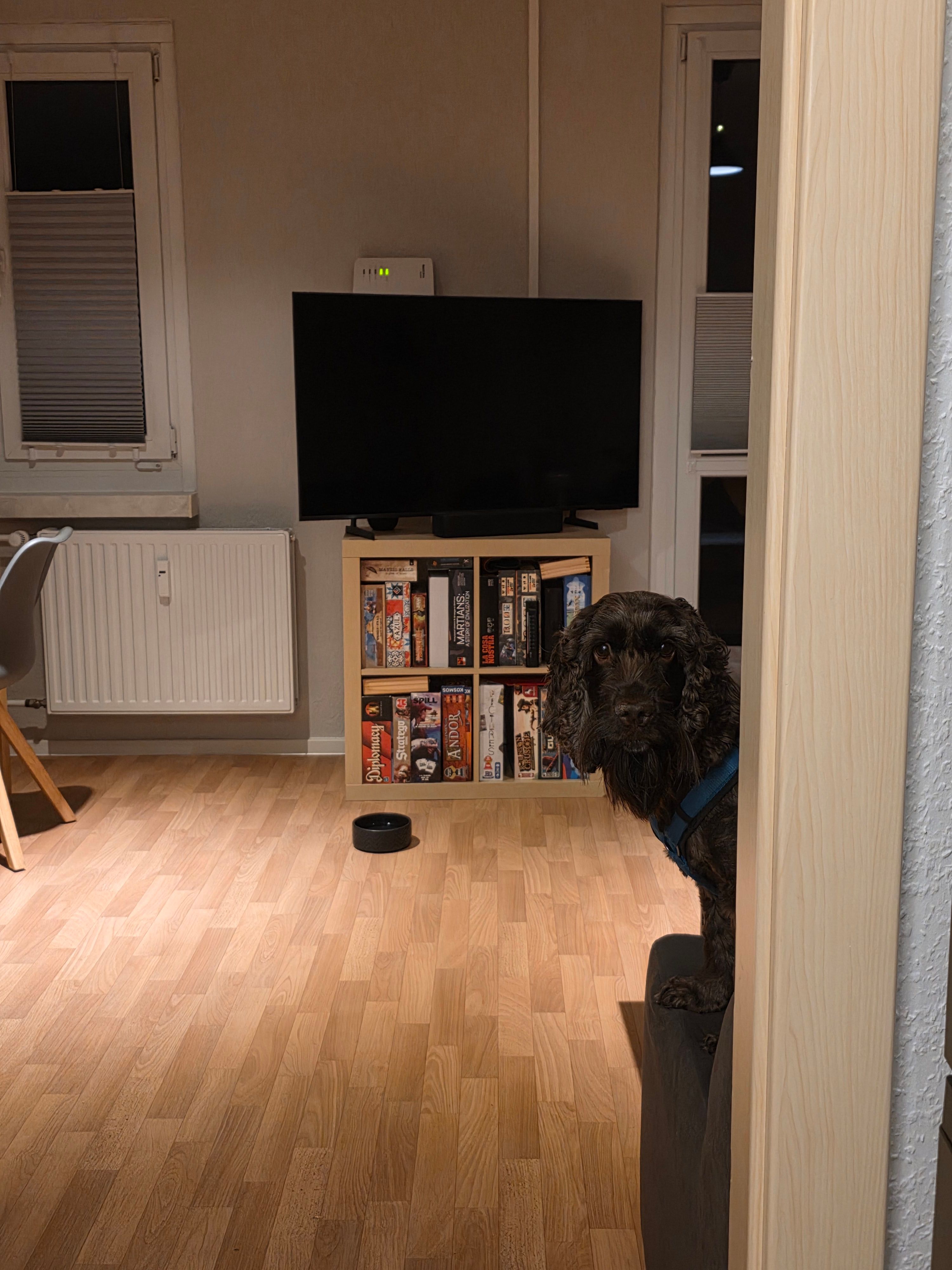 image-46
