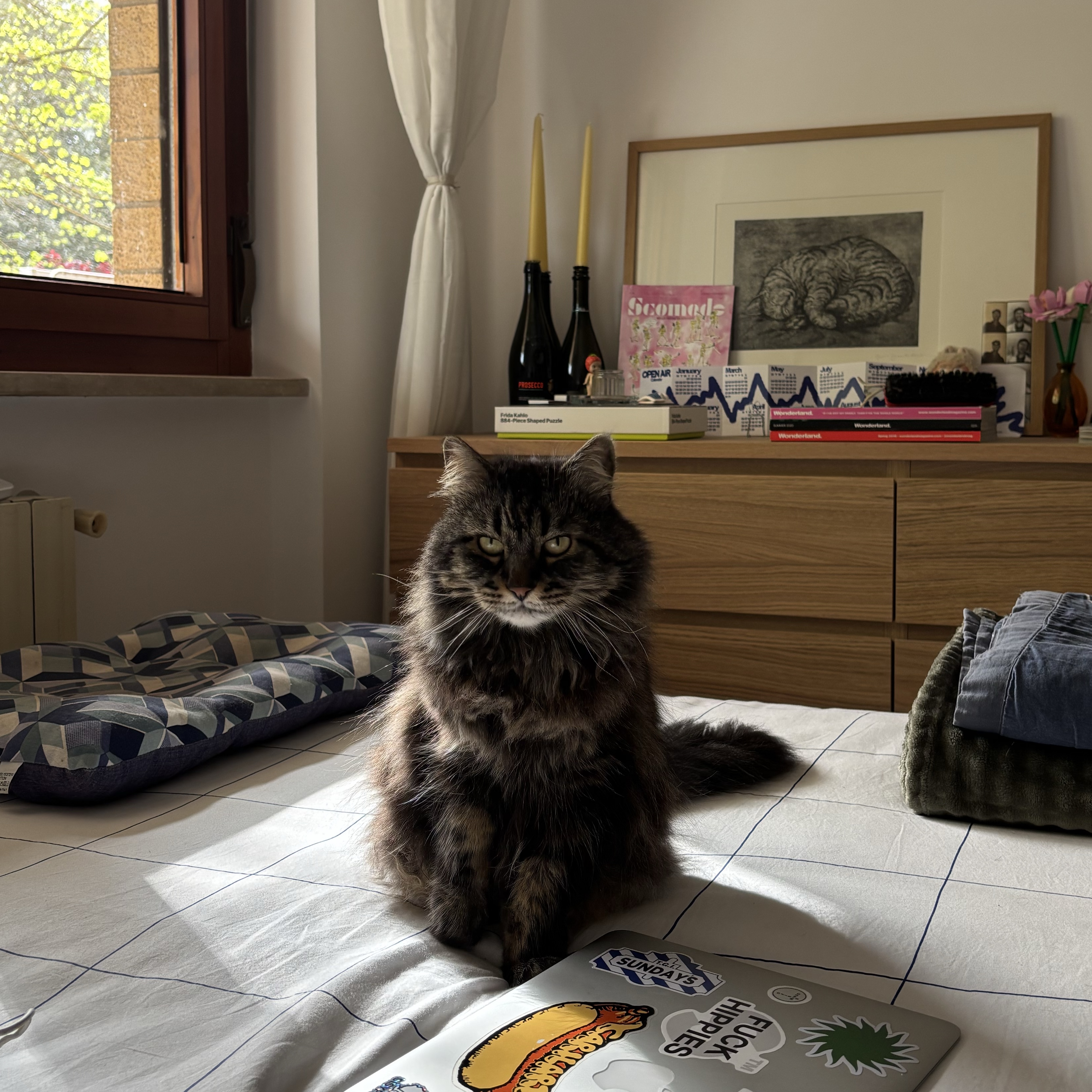 Rosie