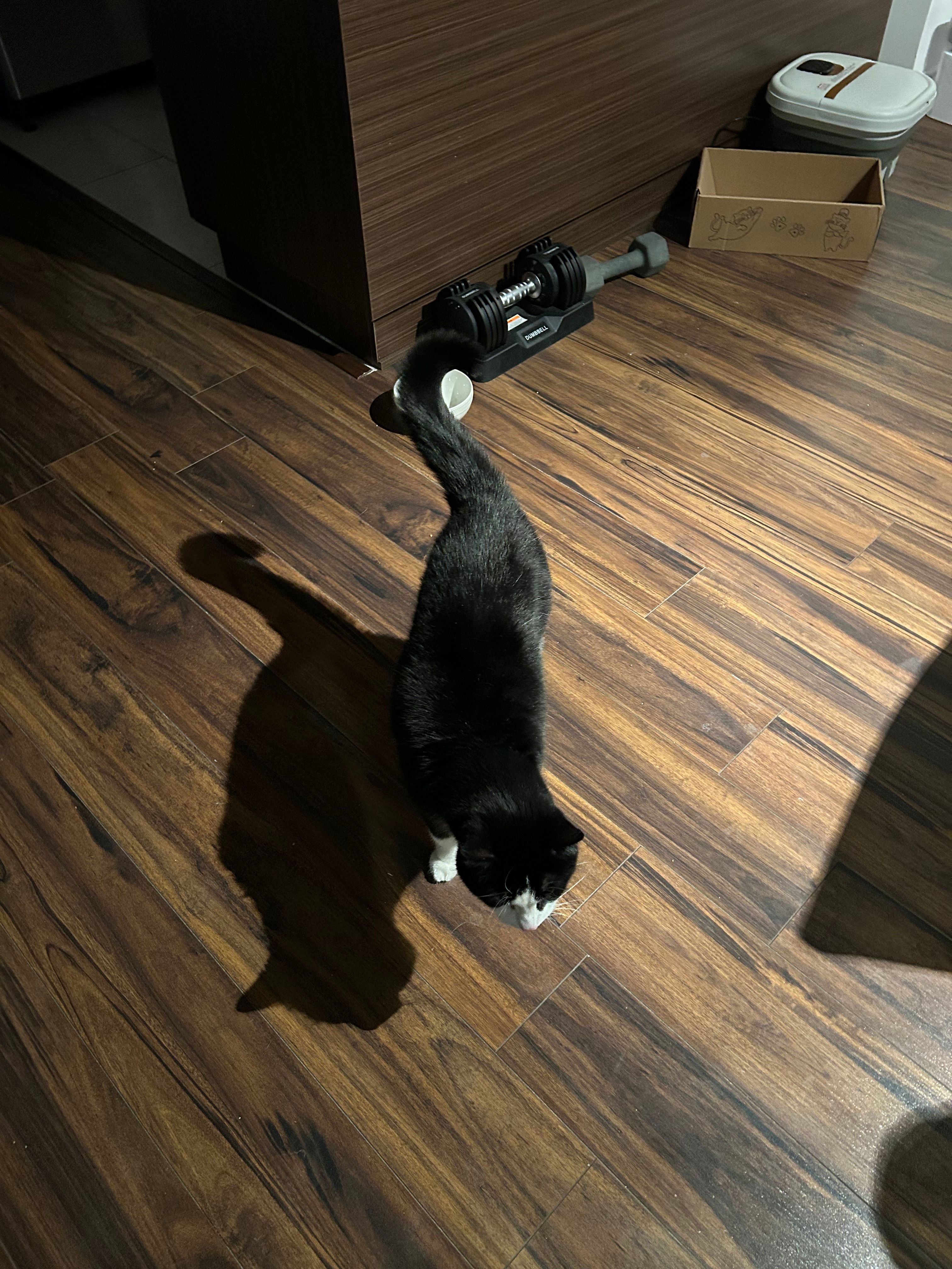 image-16