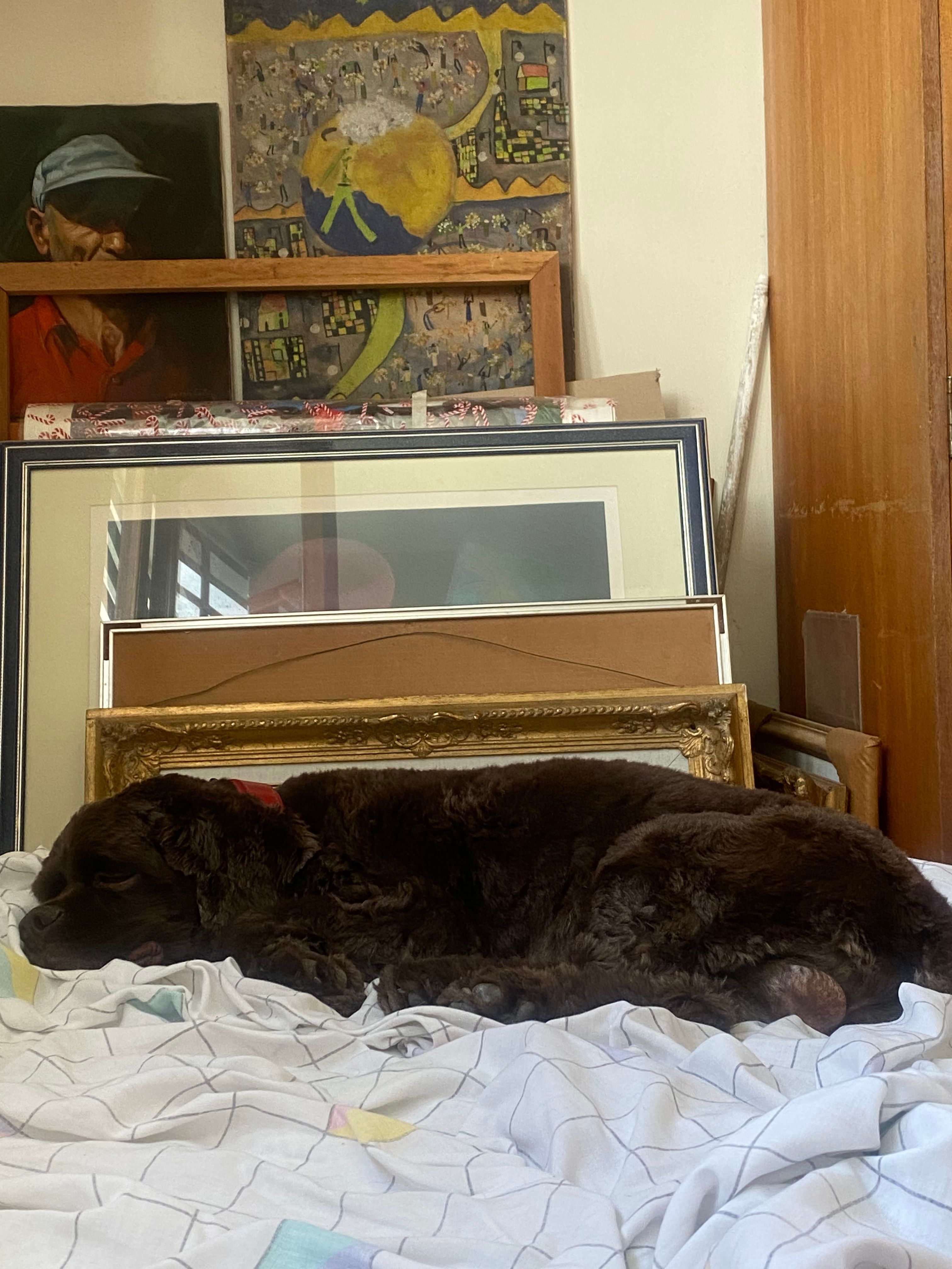 image-10