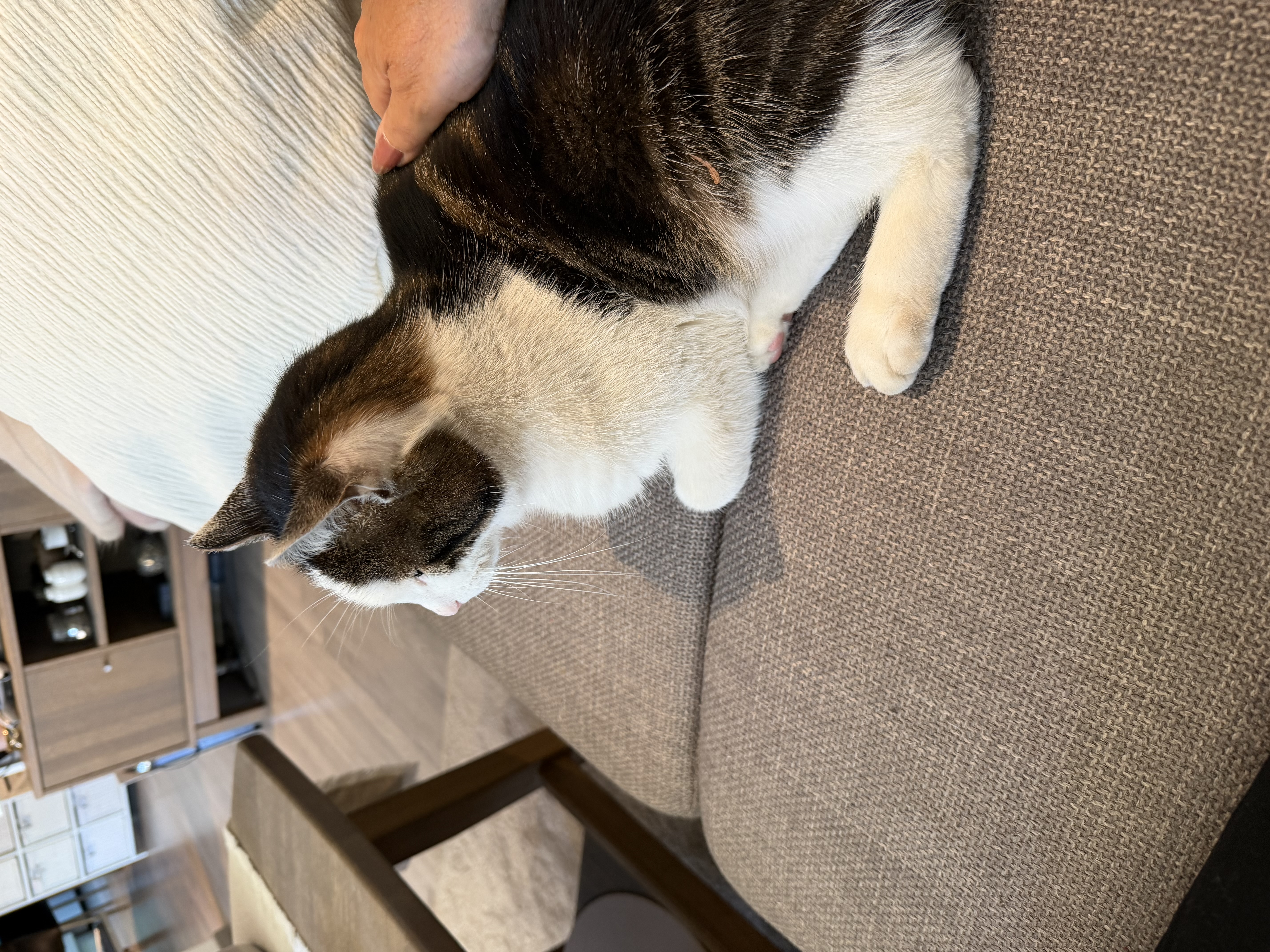 image-15