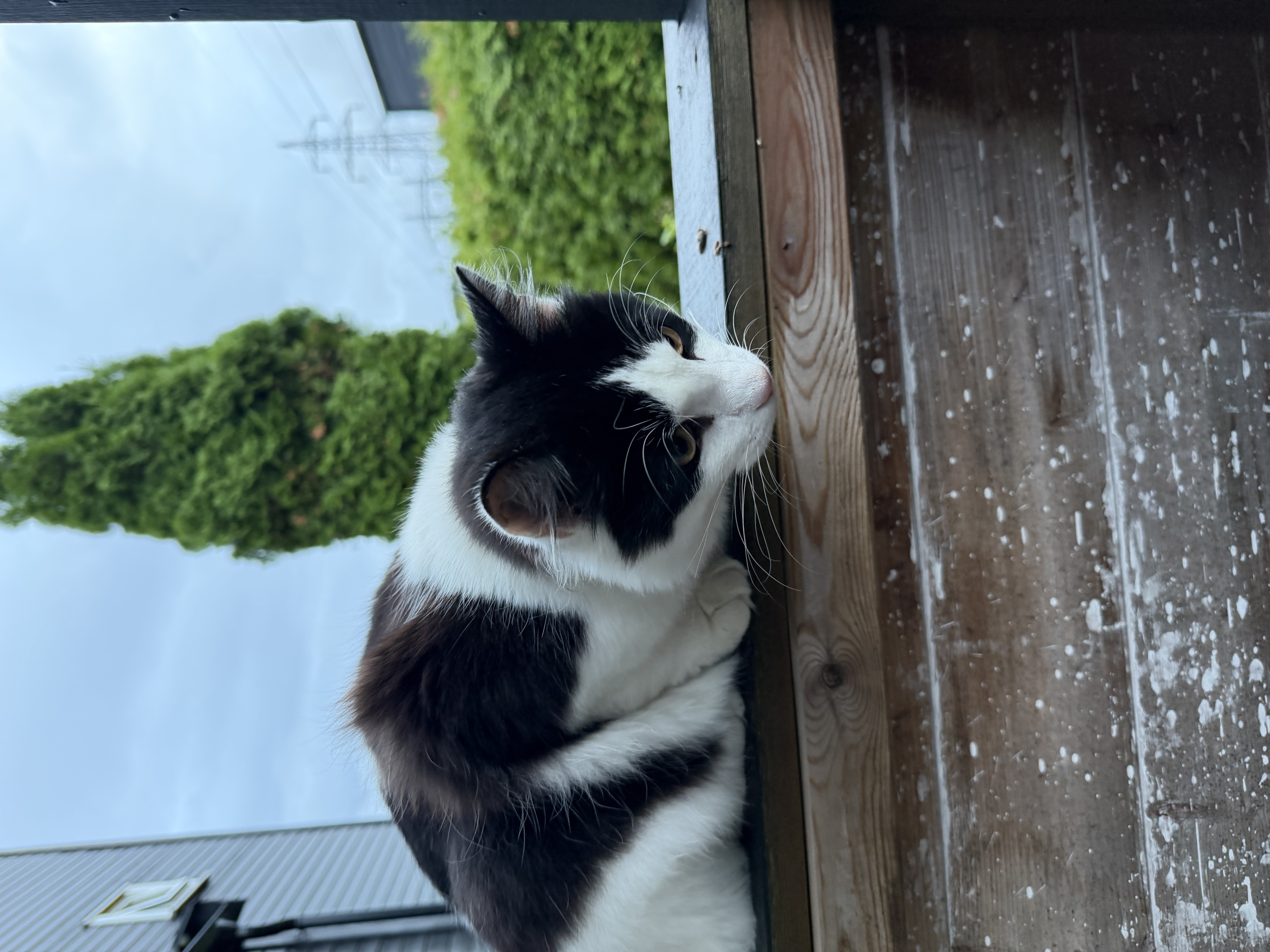 image-14