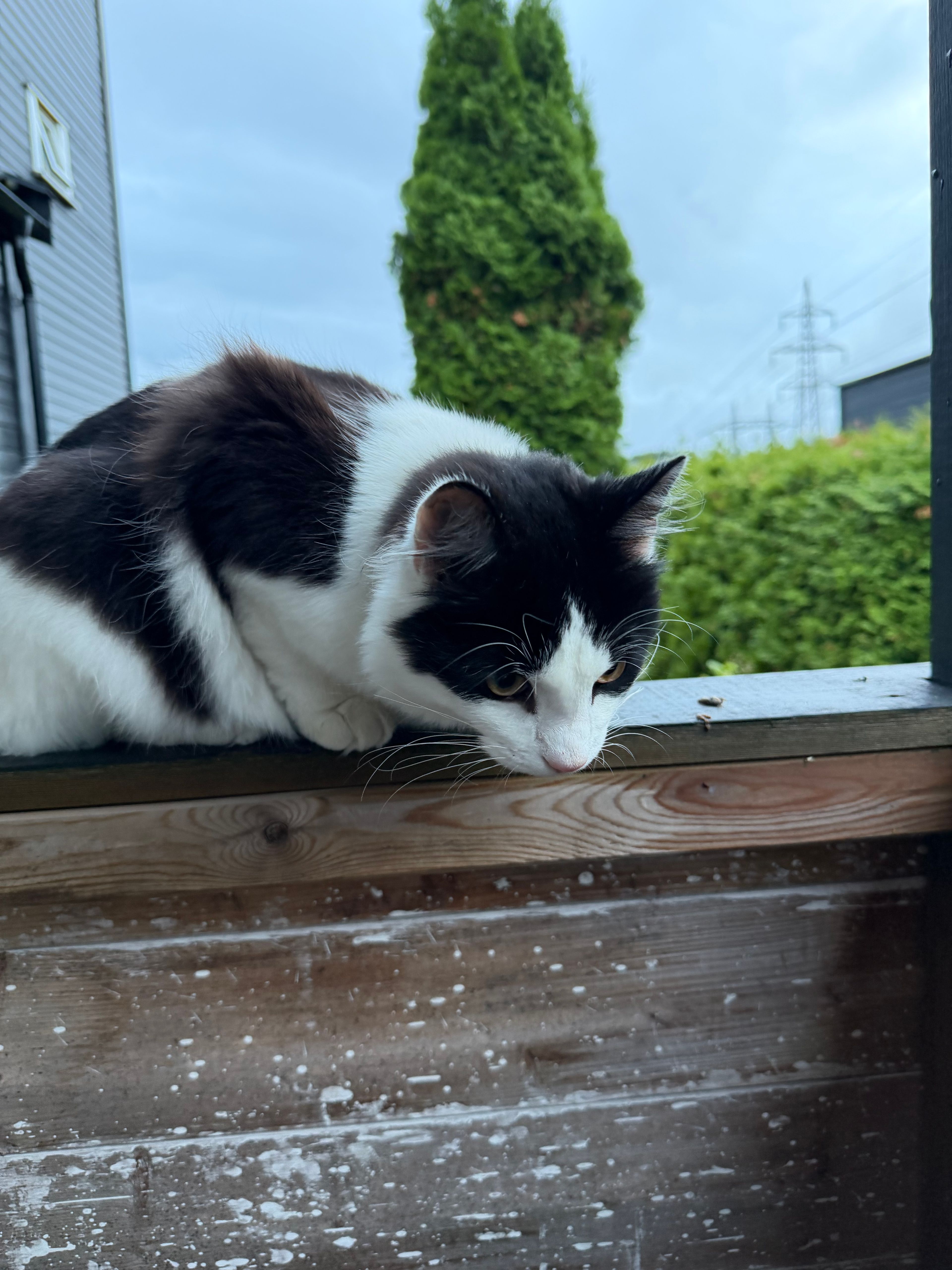 image-14