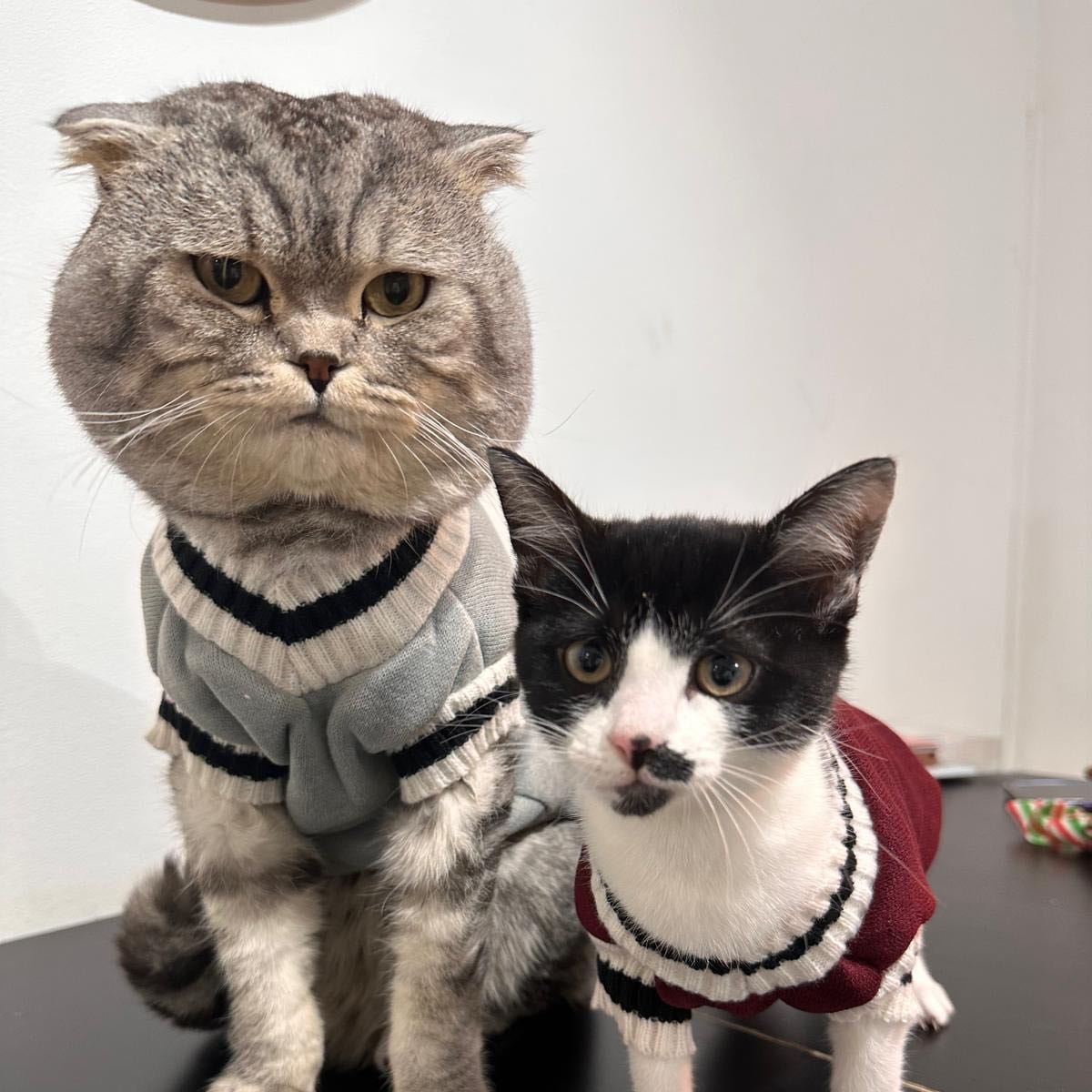 fantuin & seasame 