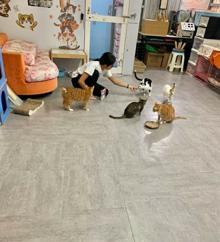 image-7