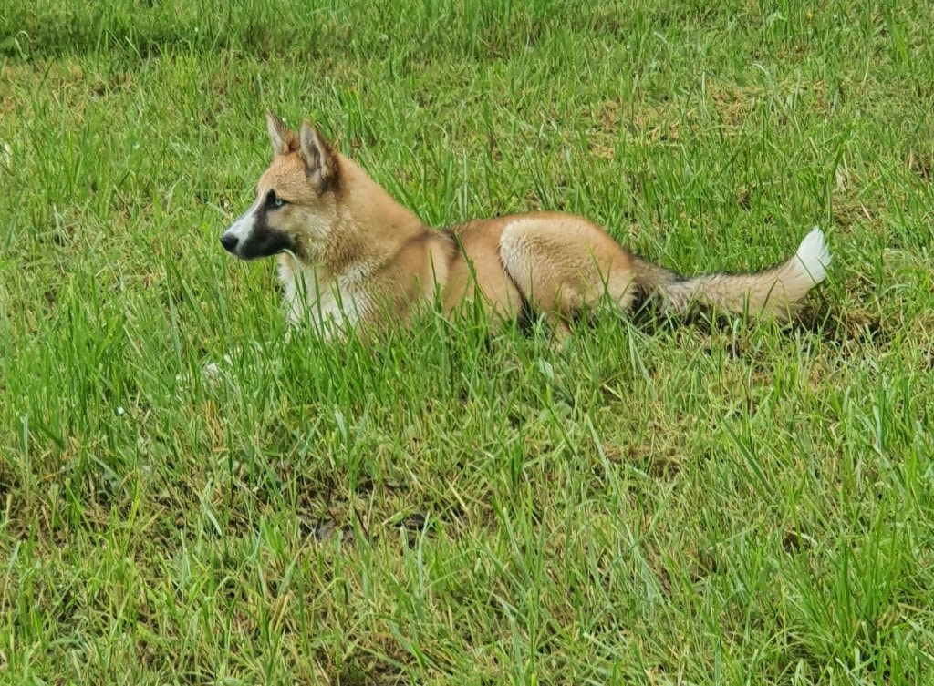 image-4