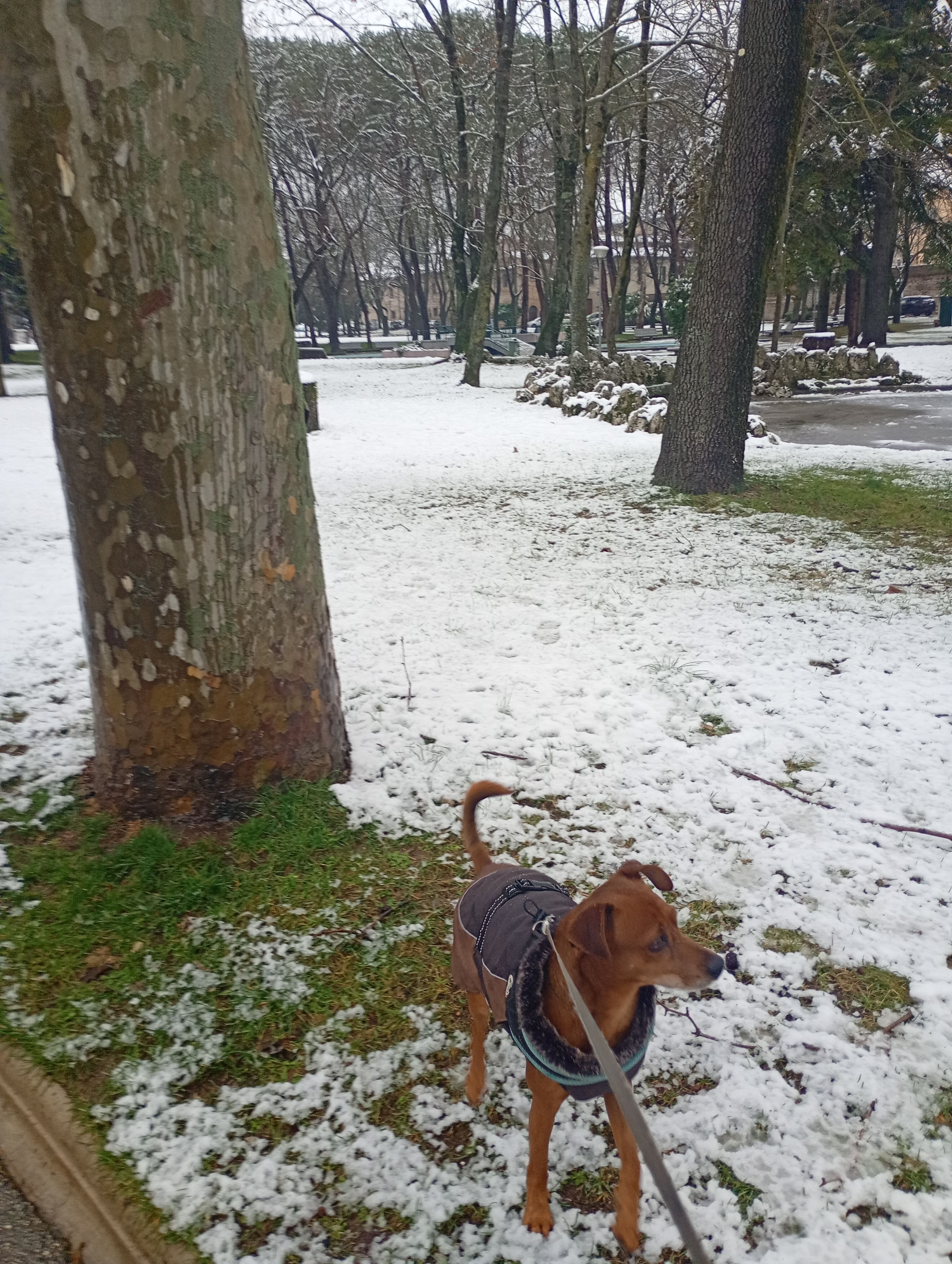 image-15