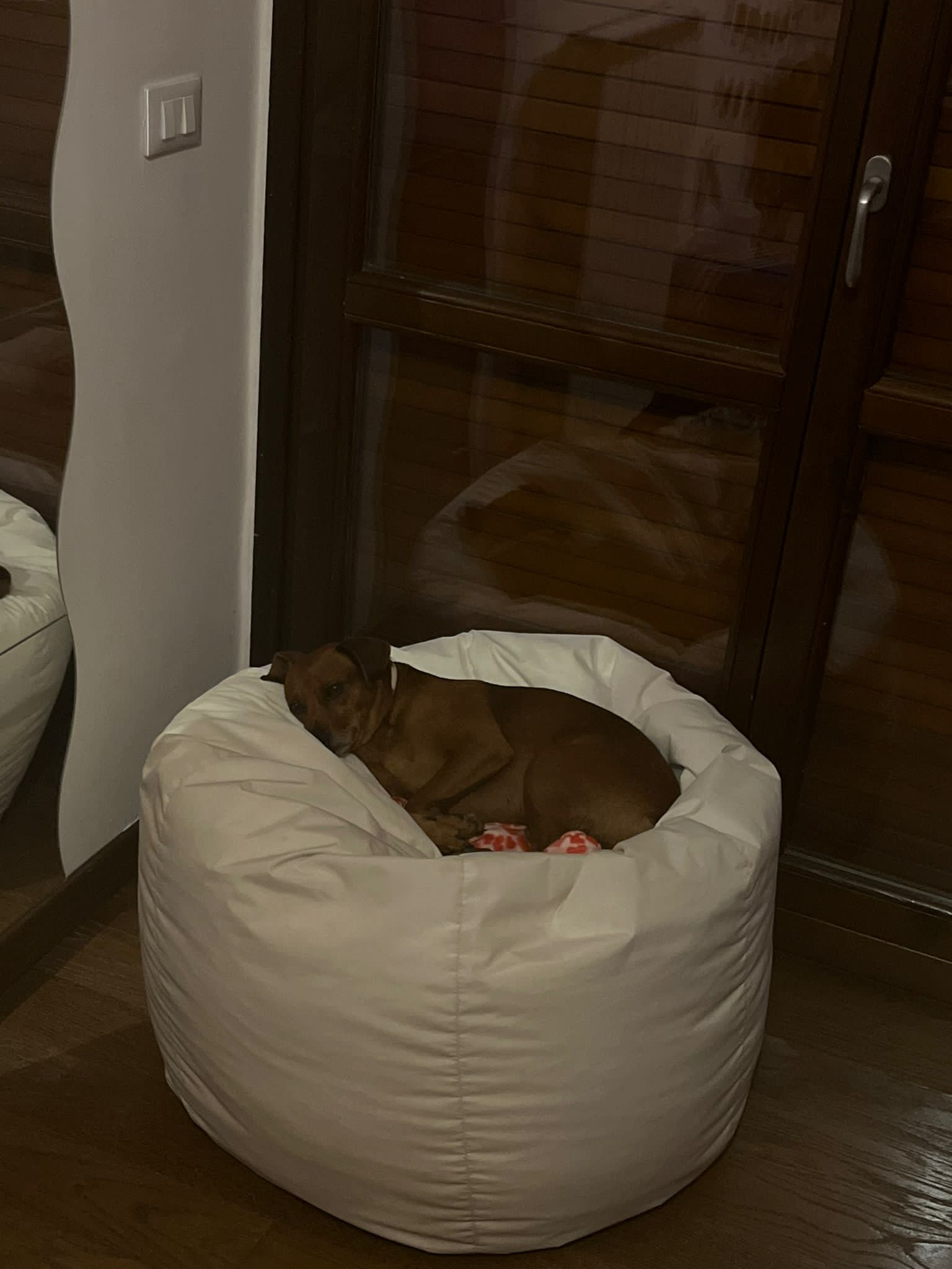 image-6