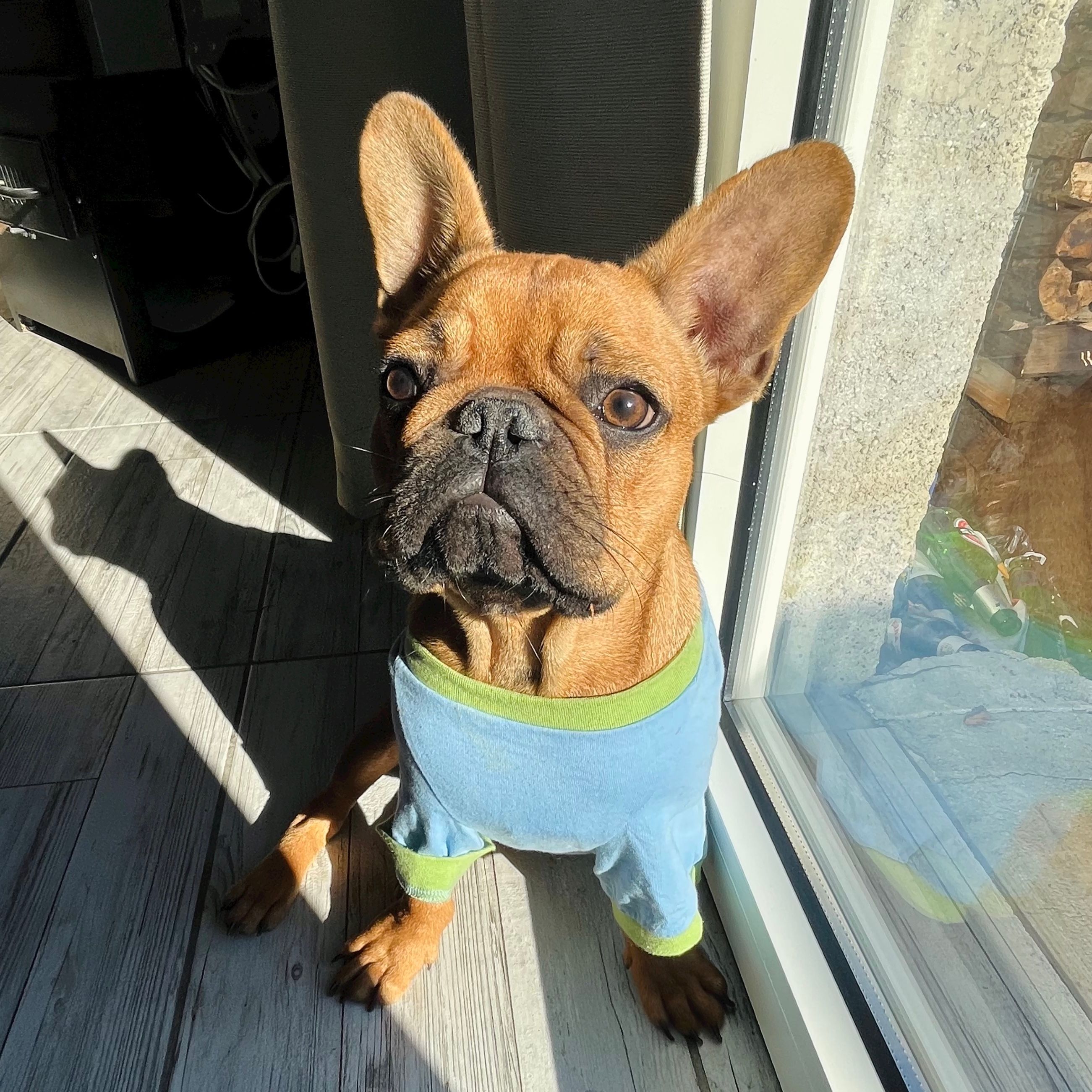 Axel
