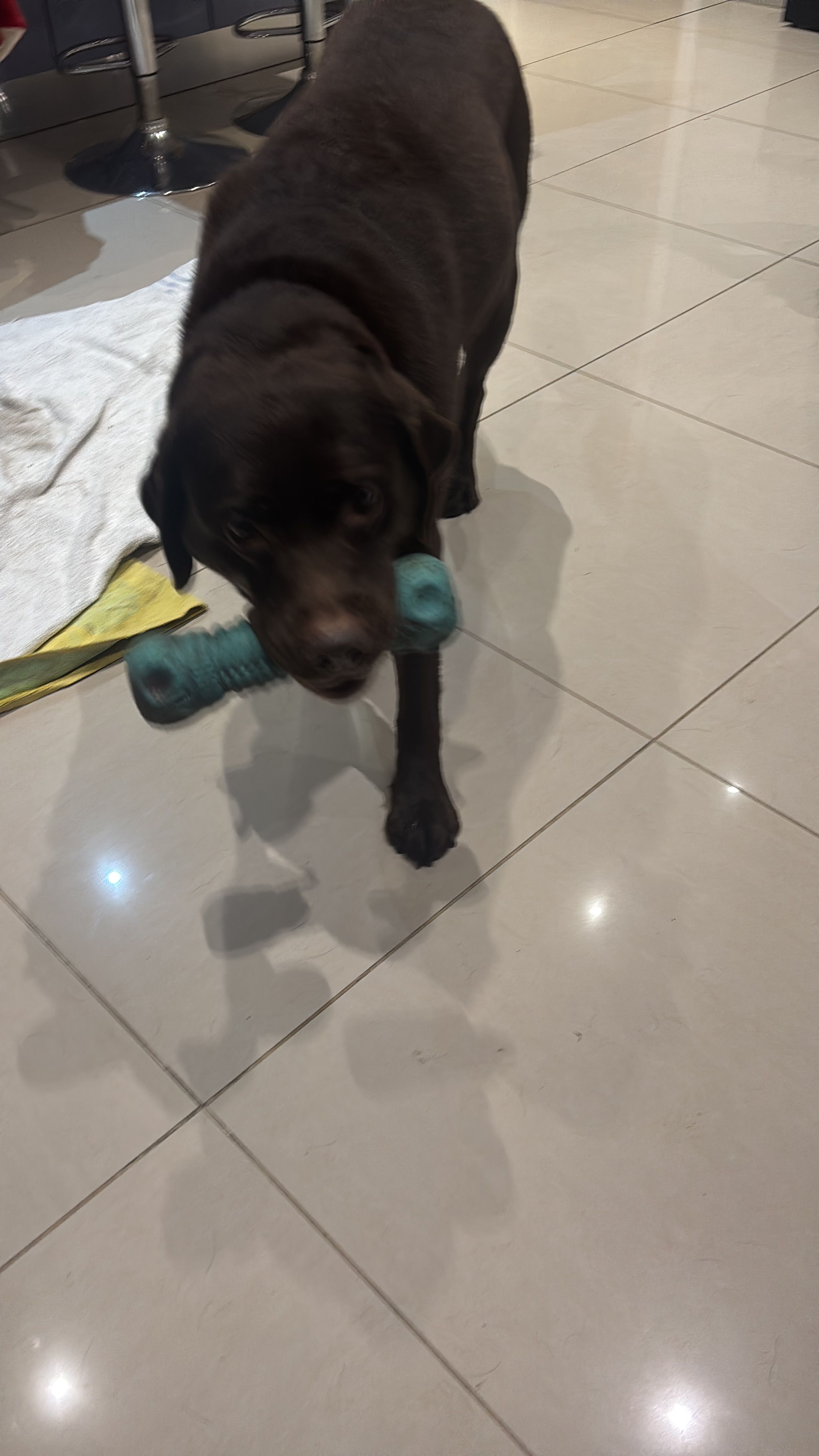 image-16