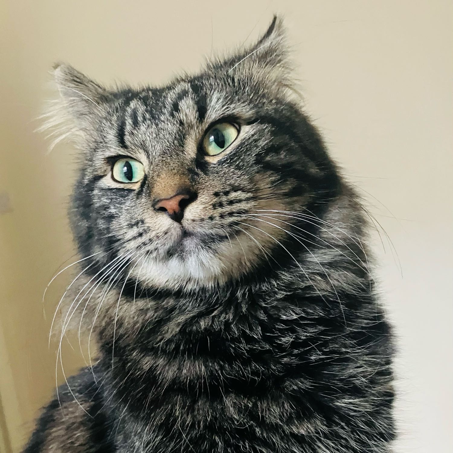 Salem