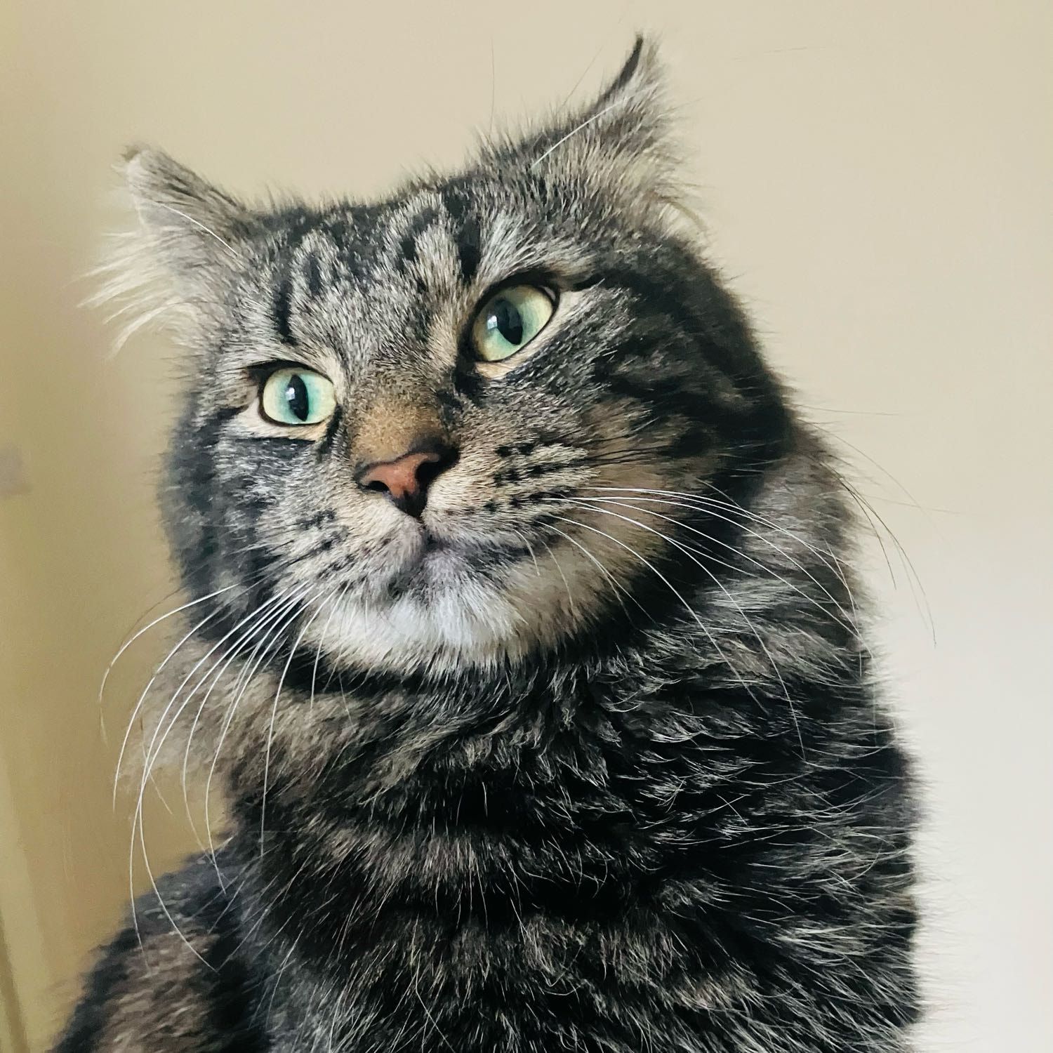 Salem