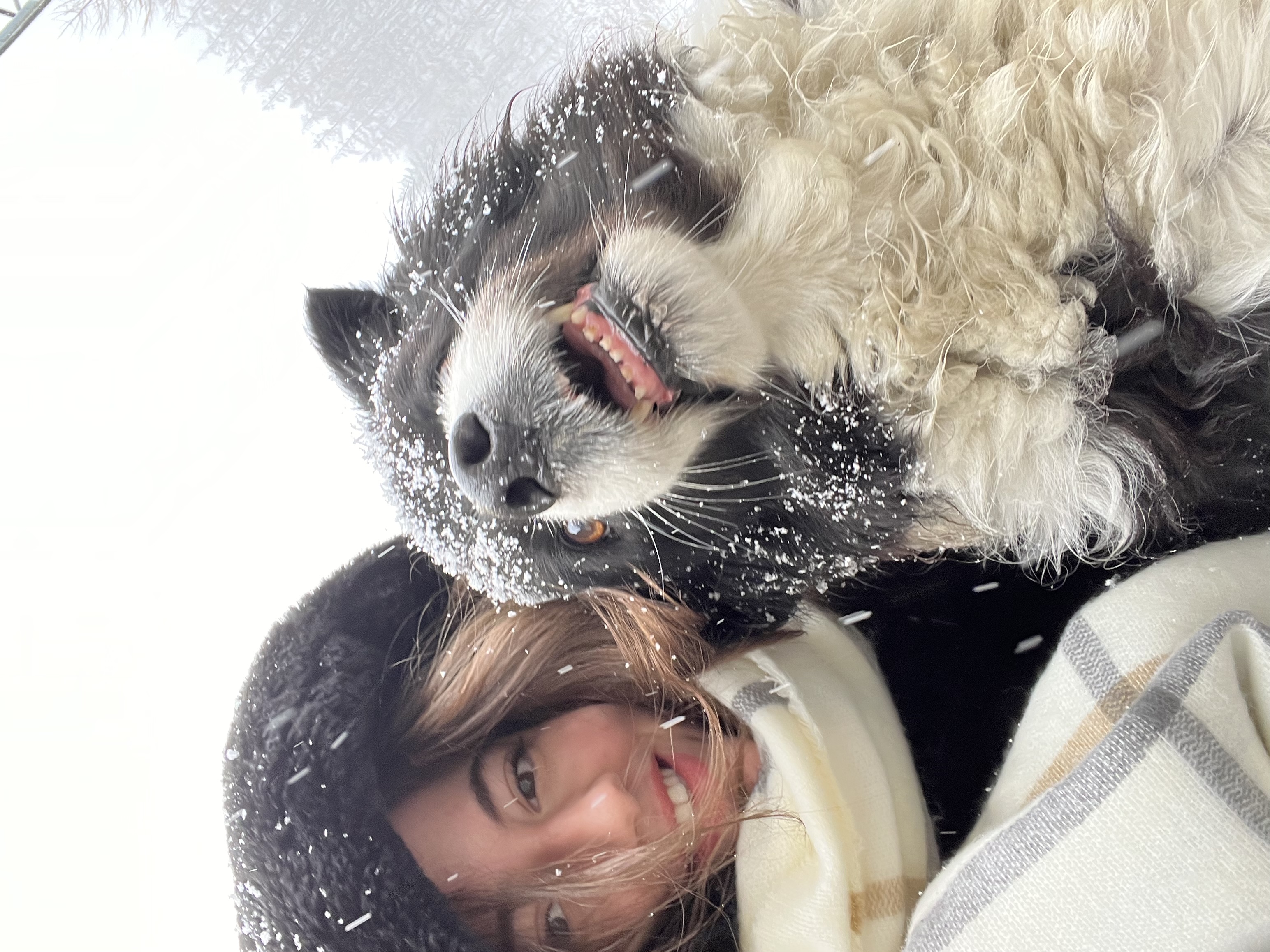 image-4