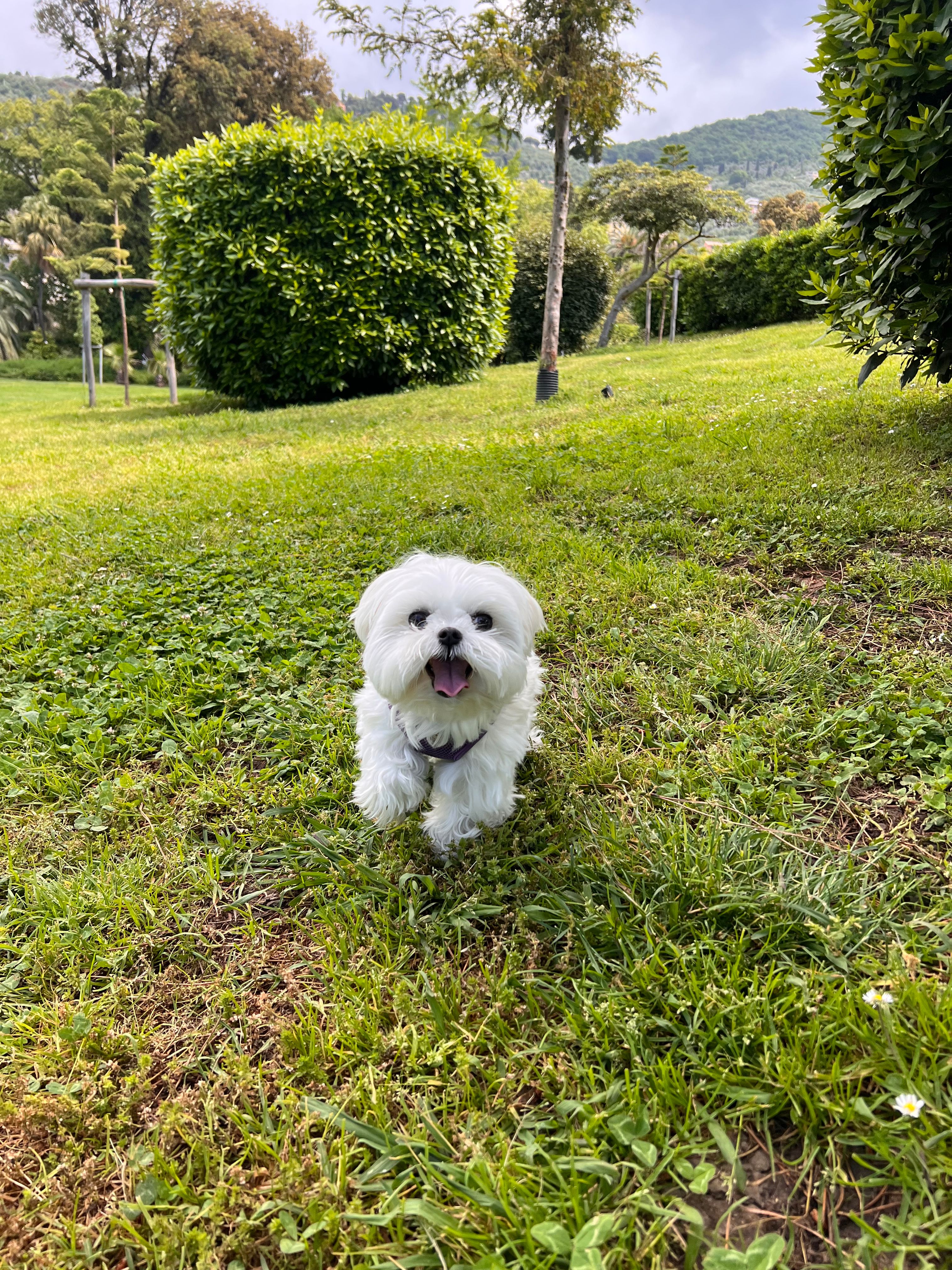 image-6