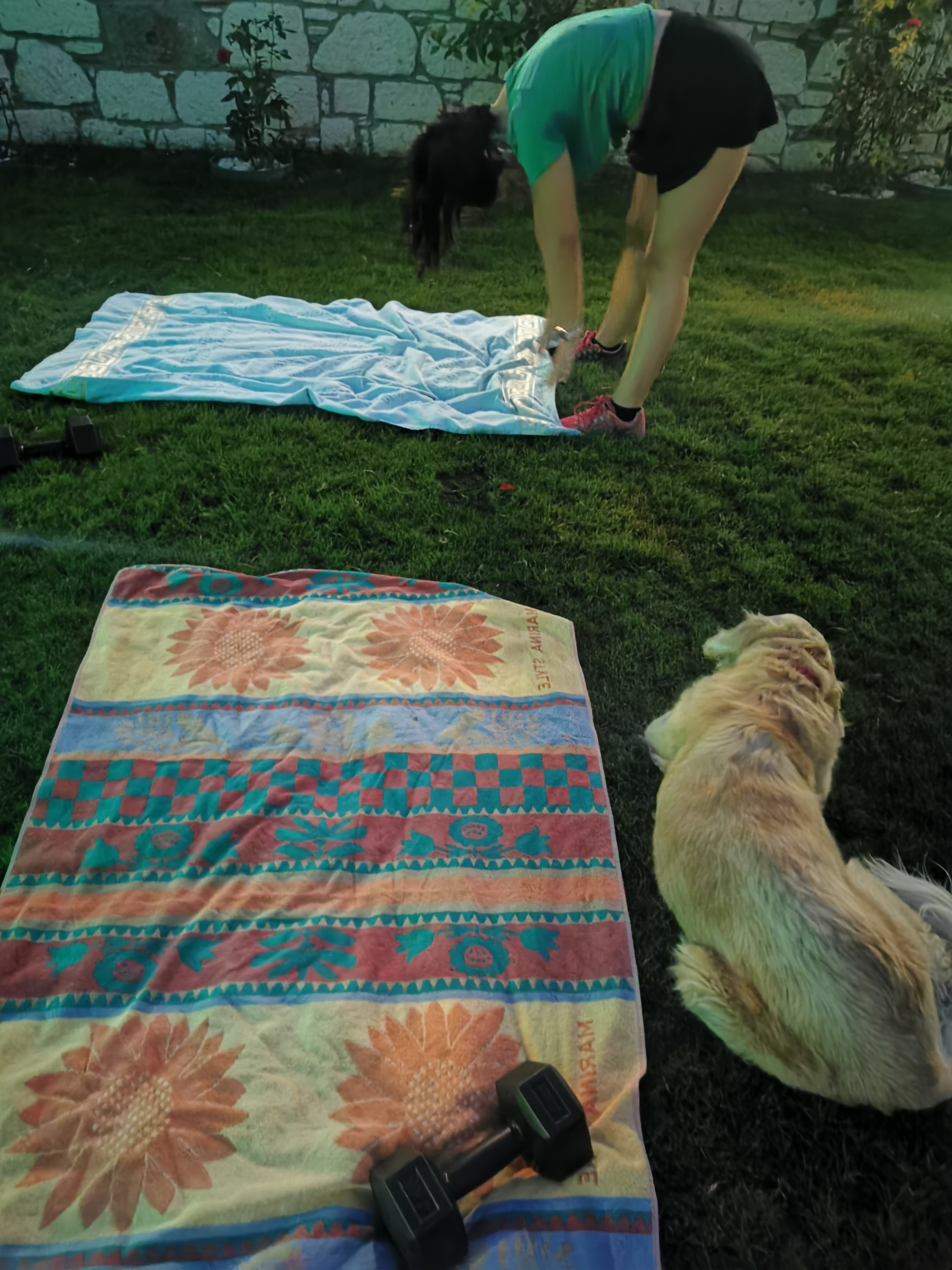 image-7