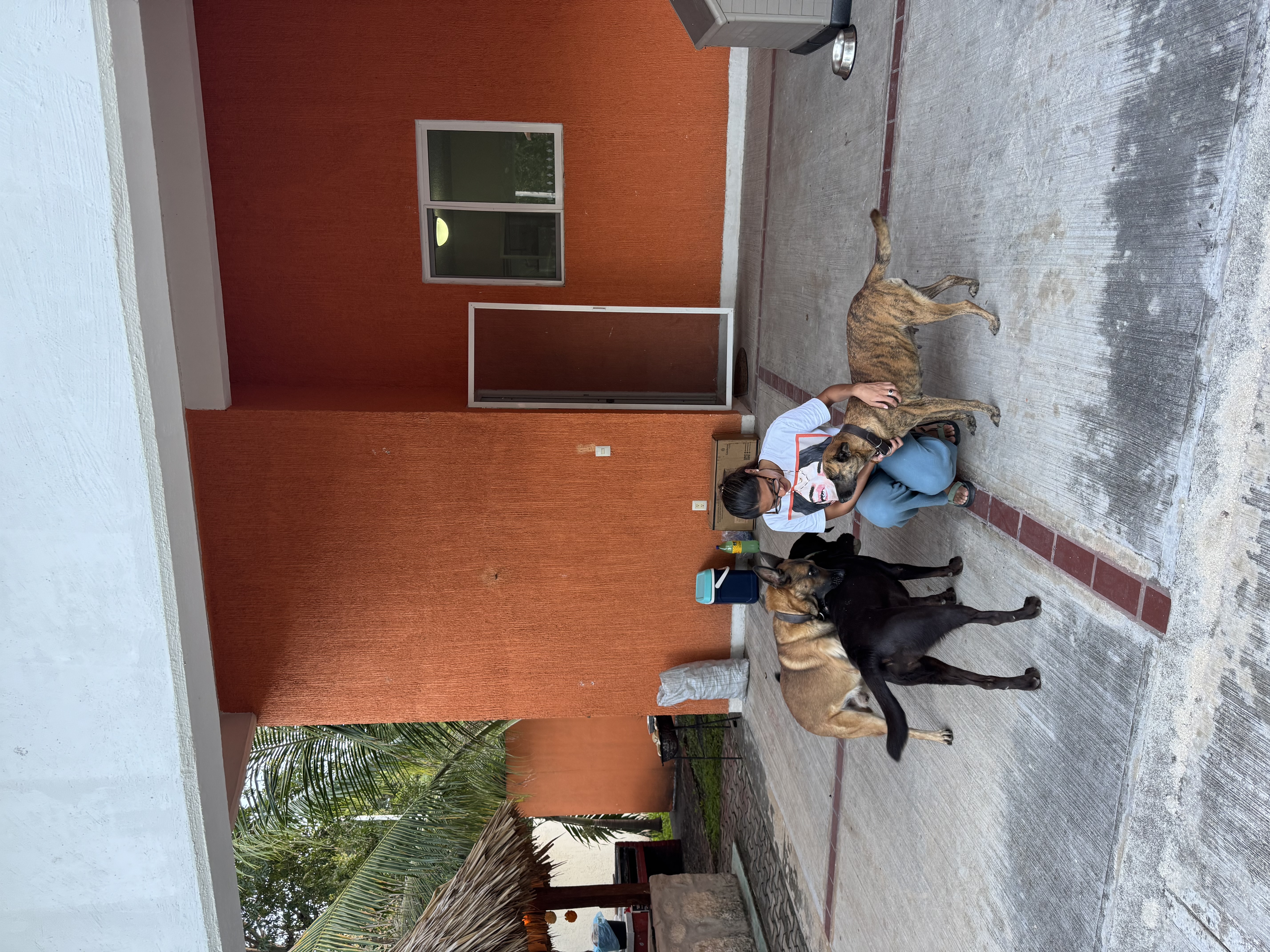 image-4