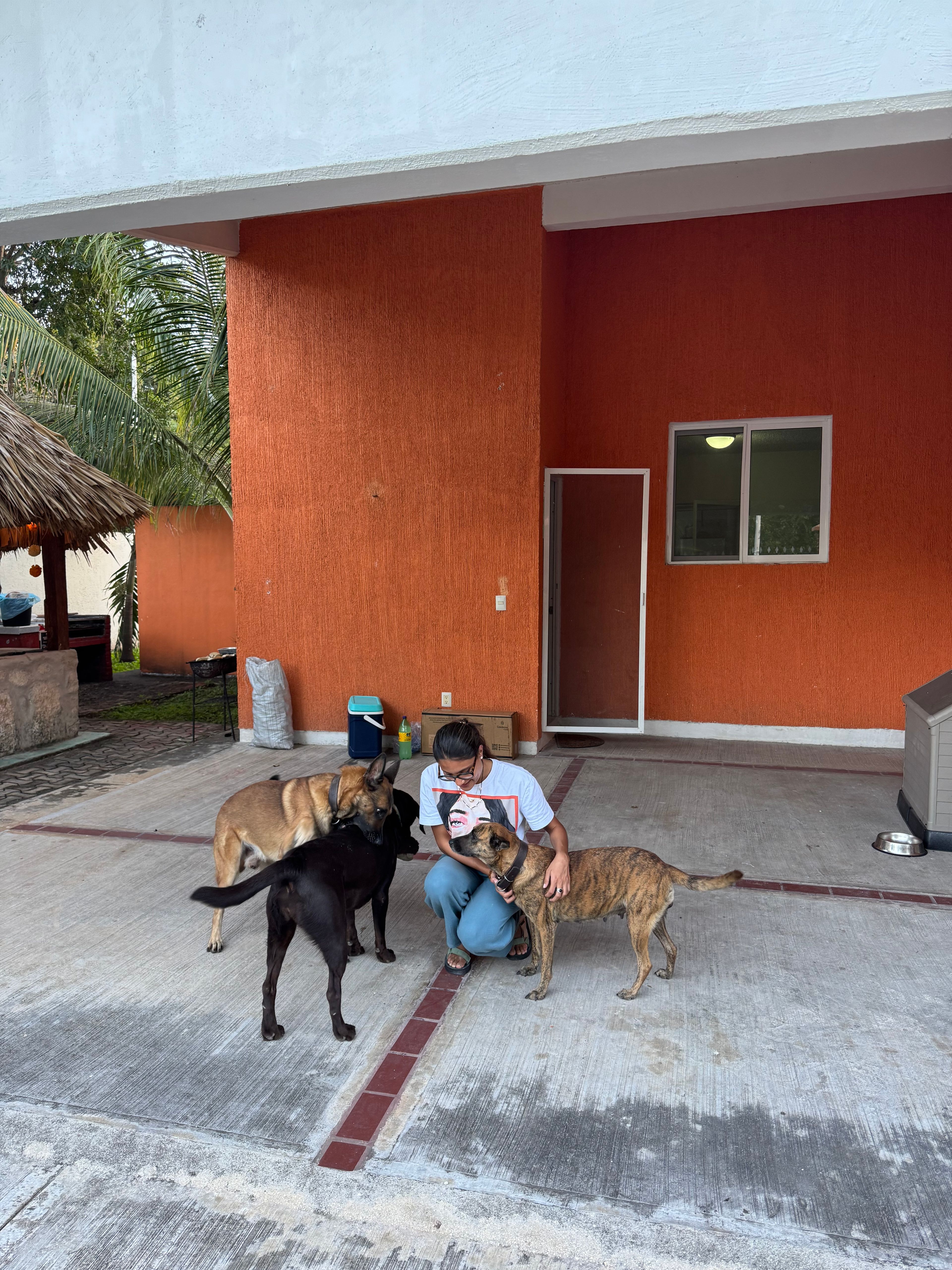 image-4