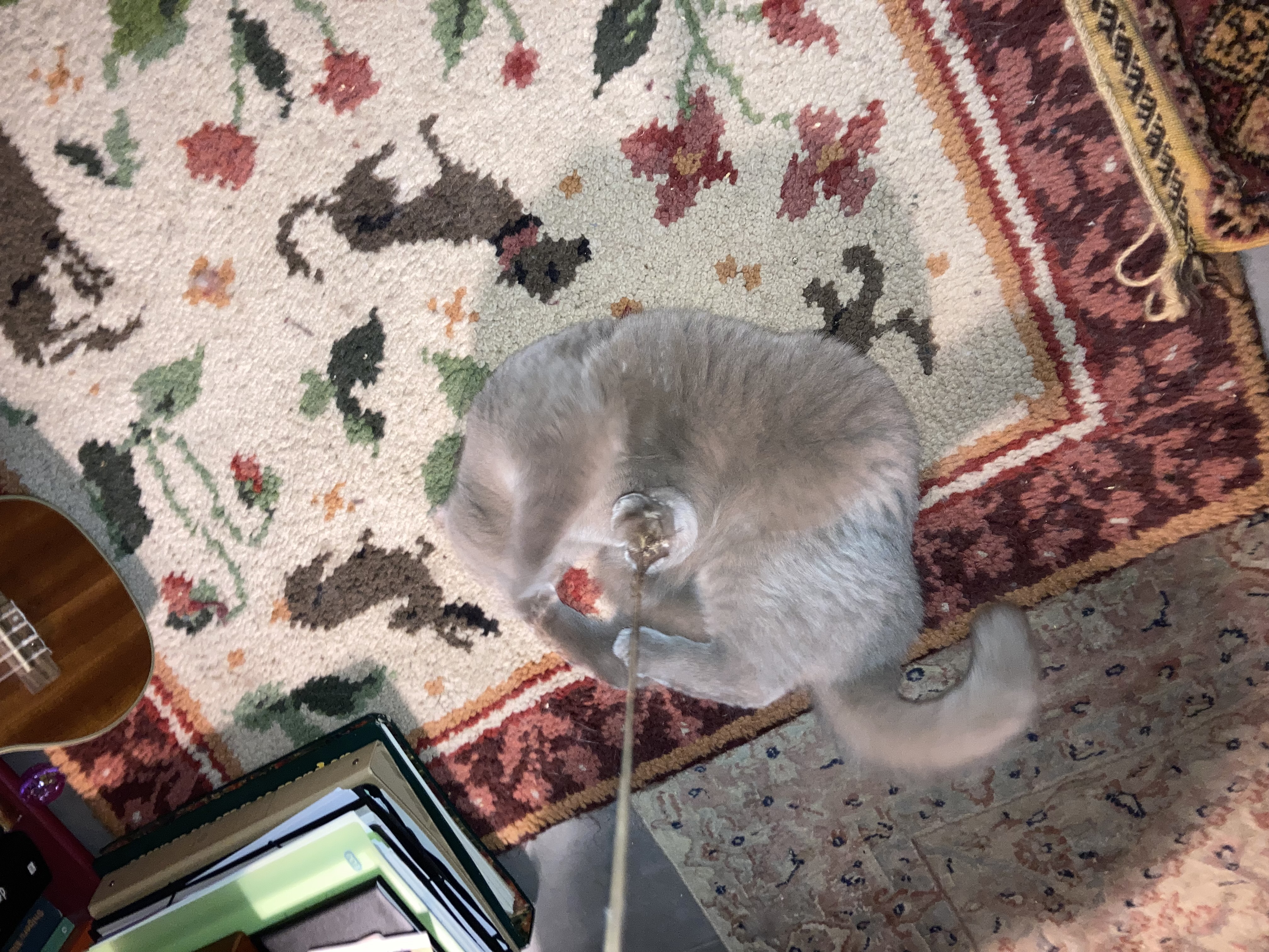 image-8
