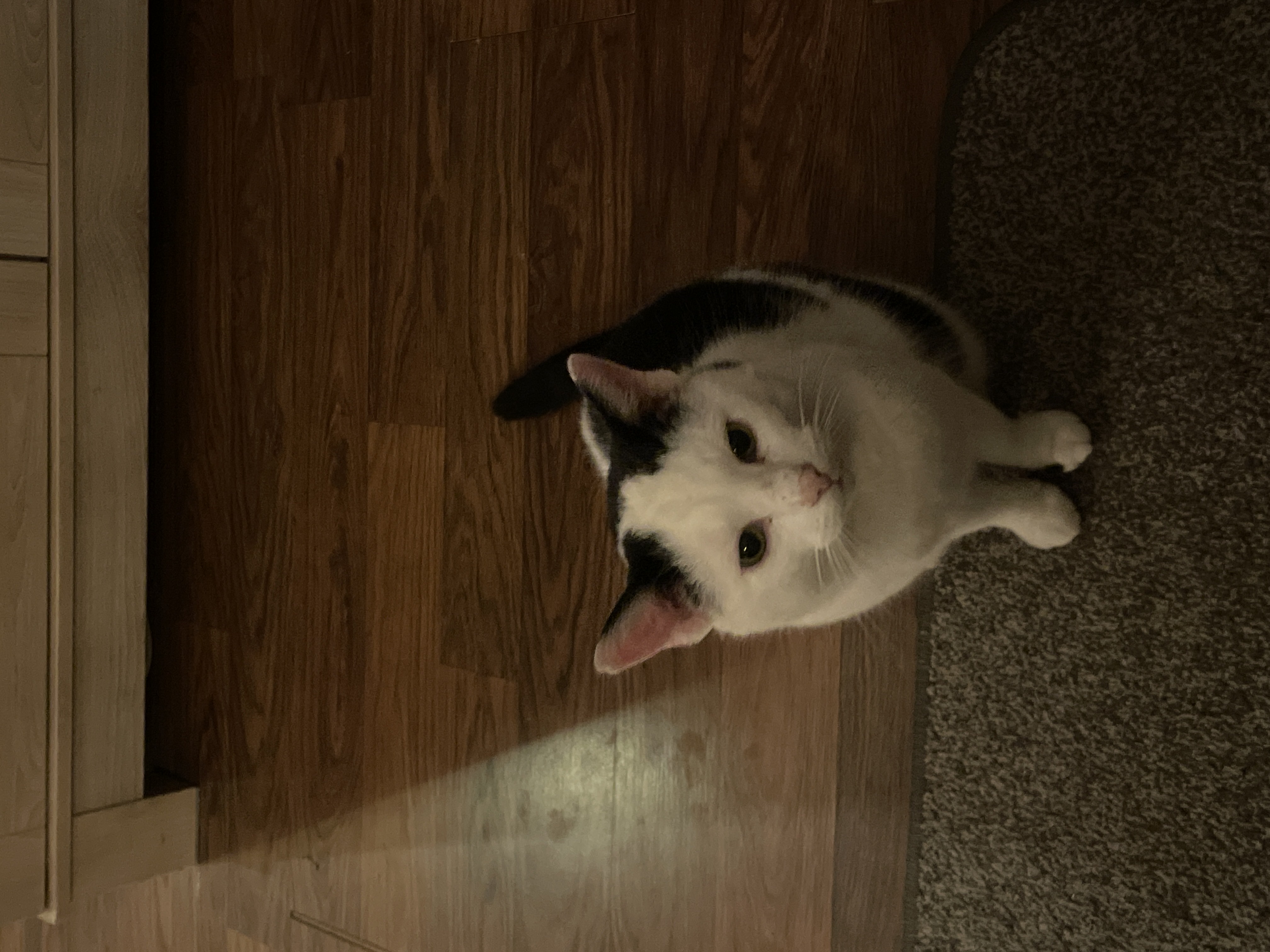 image-9