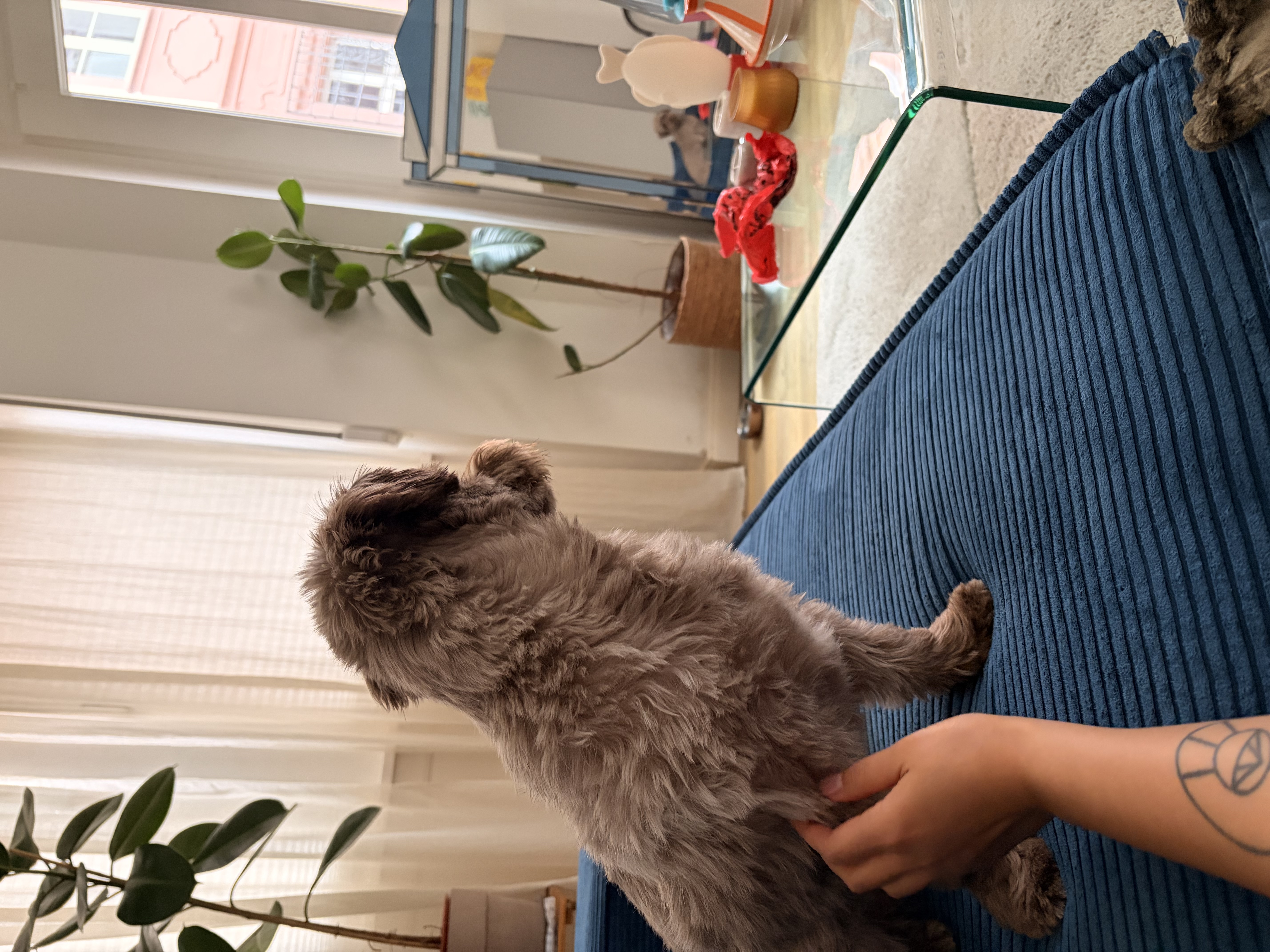 image-16