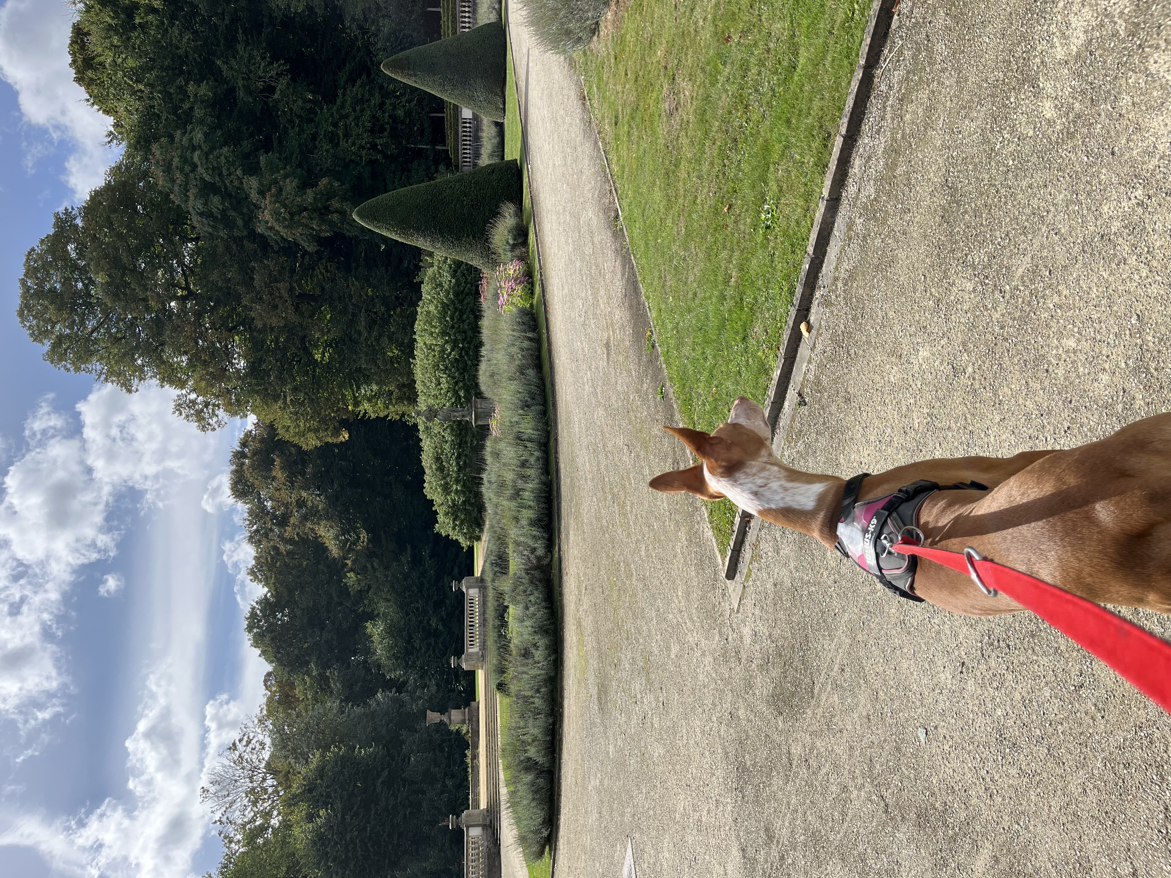 image-6