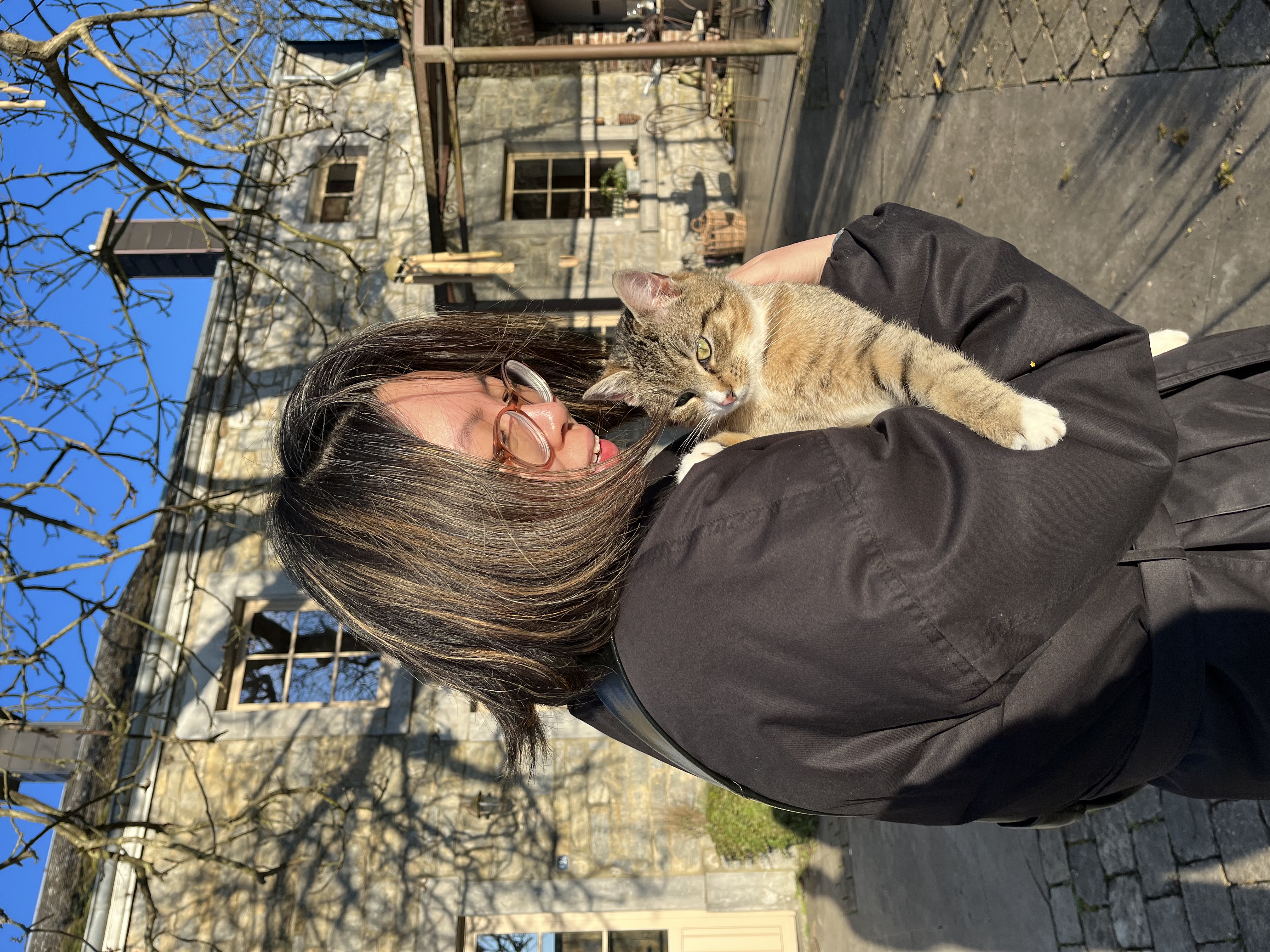 image-4