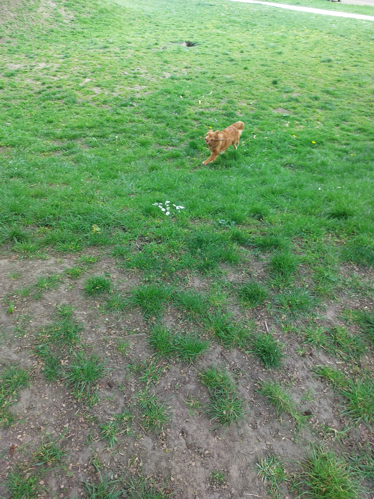 image-15