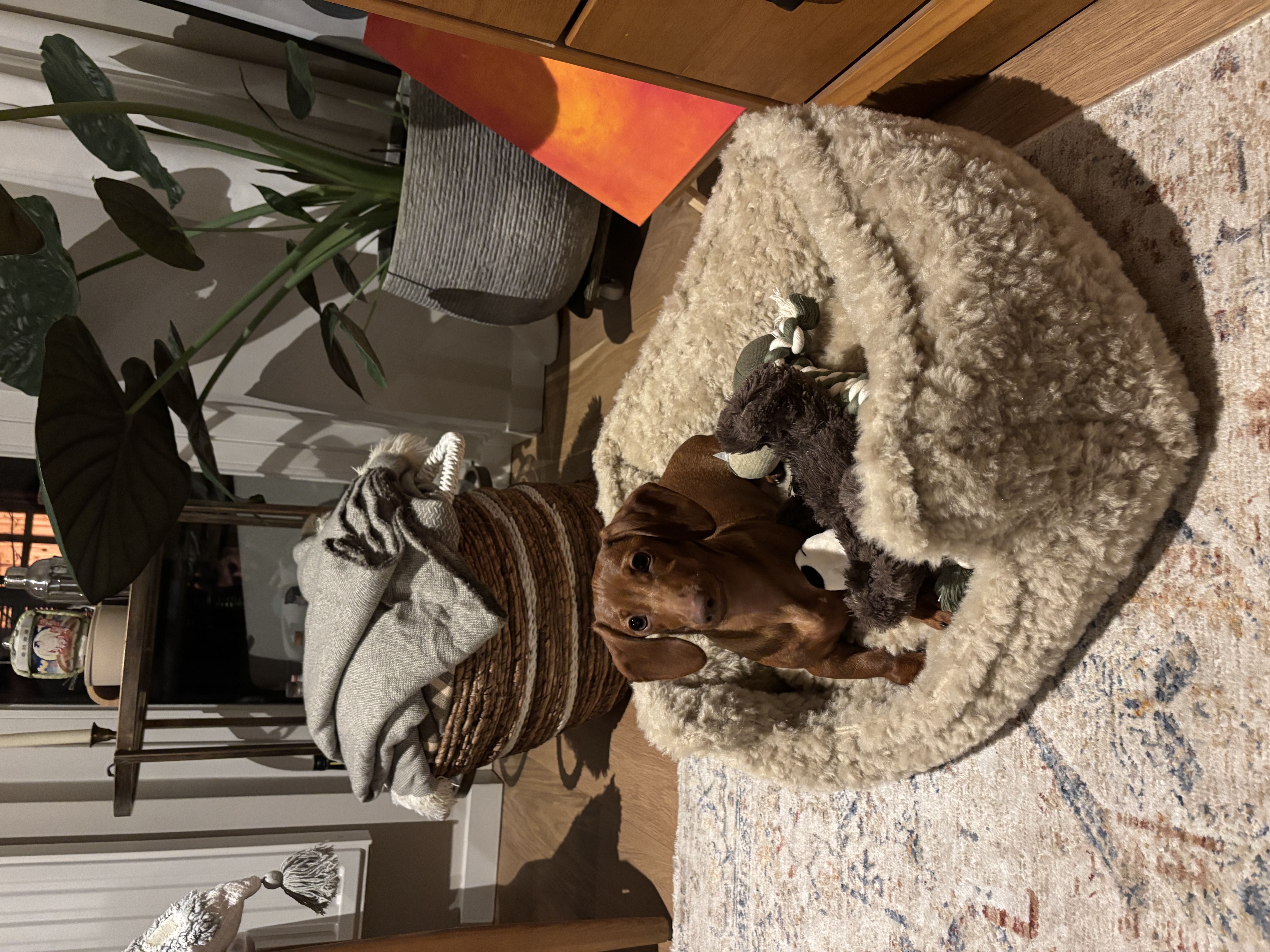 image-12