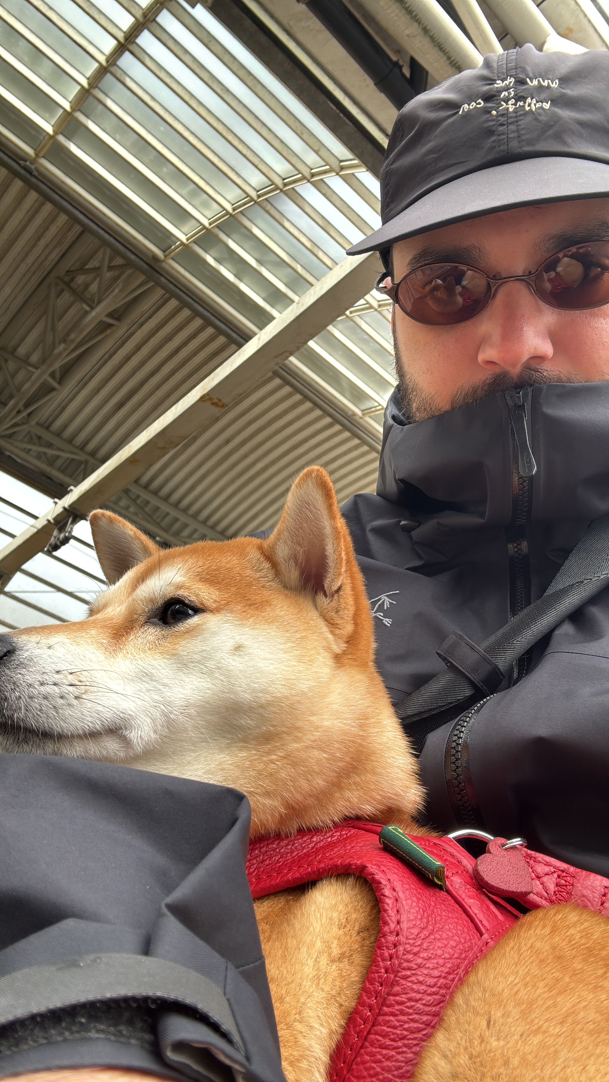 image-9