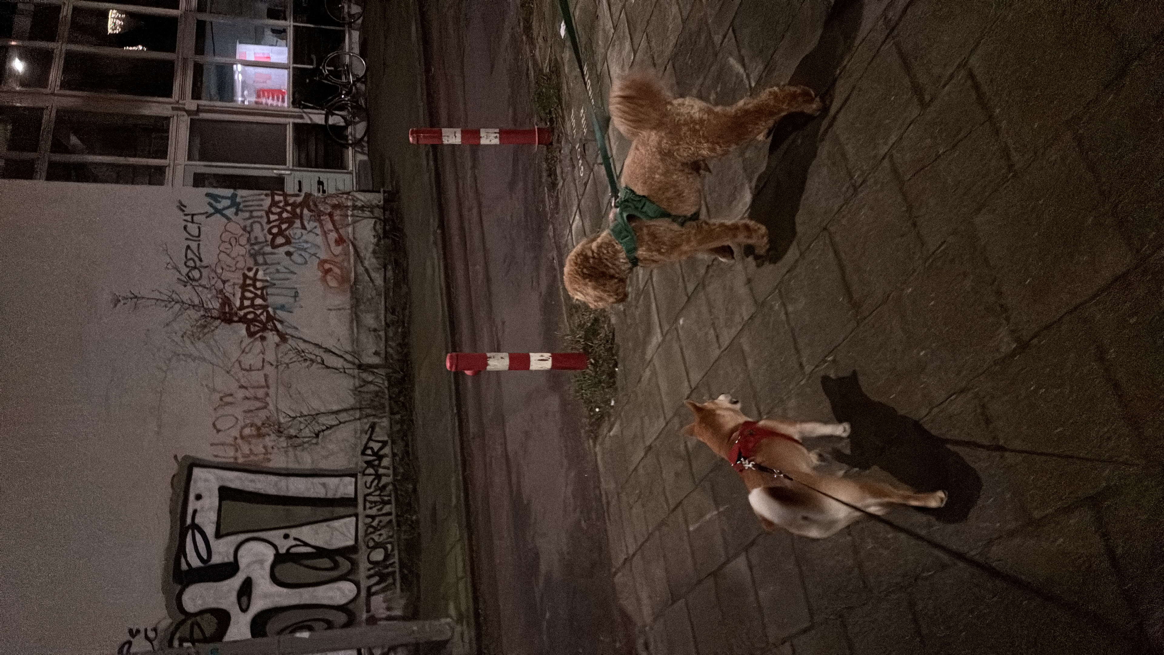 image-14