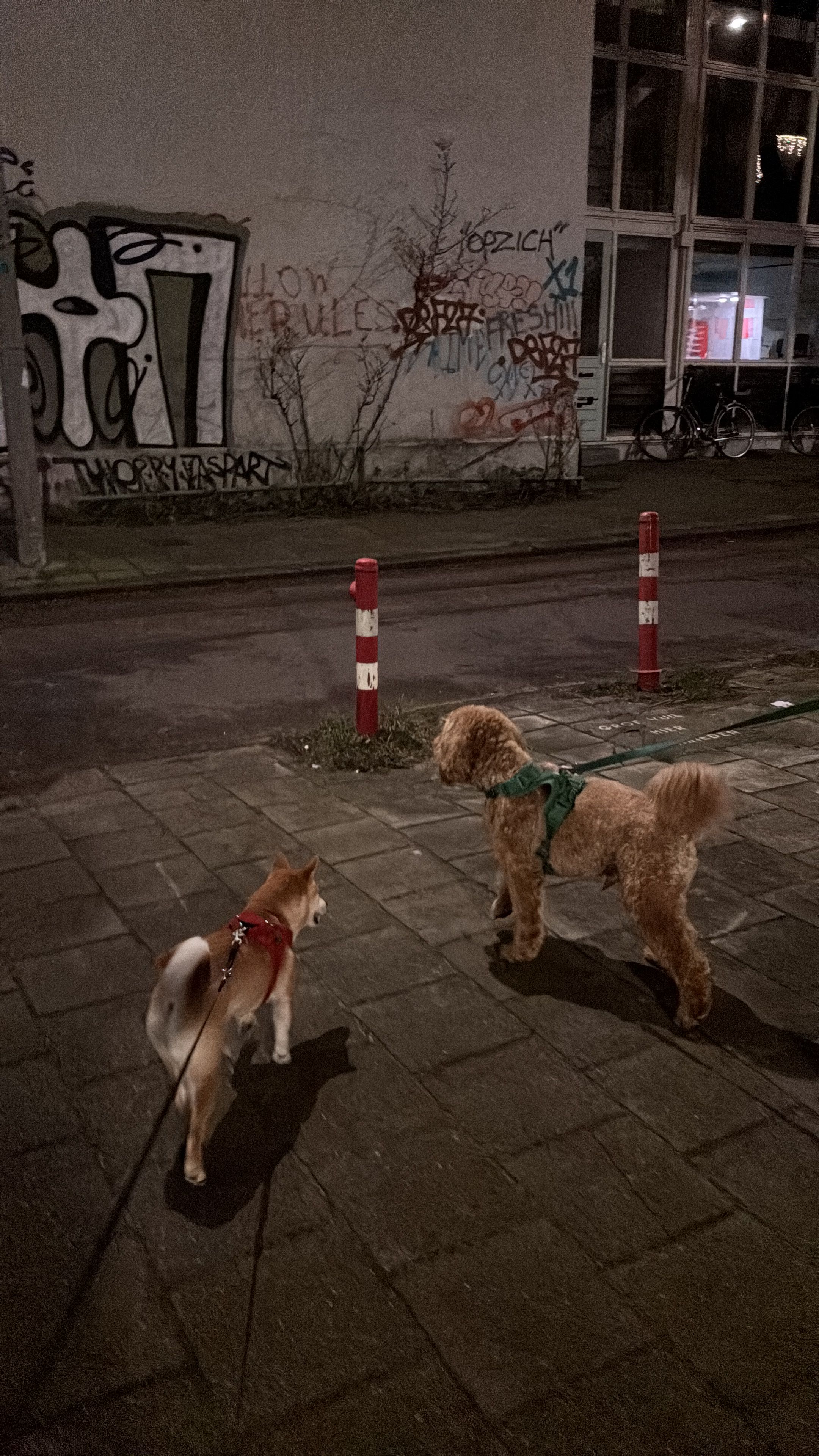 image-14