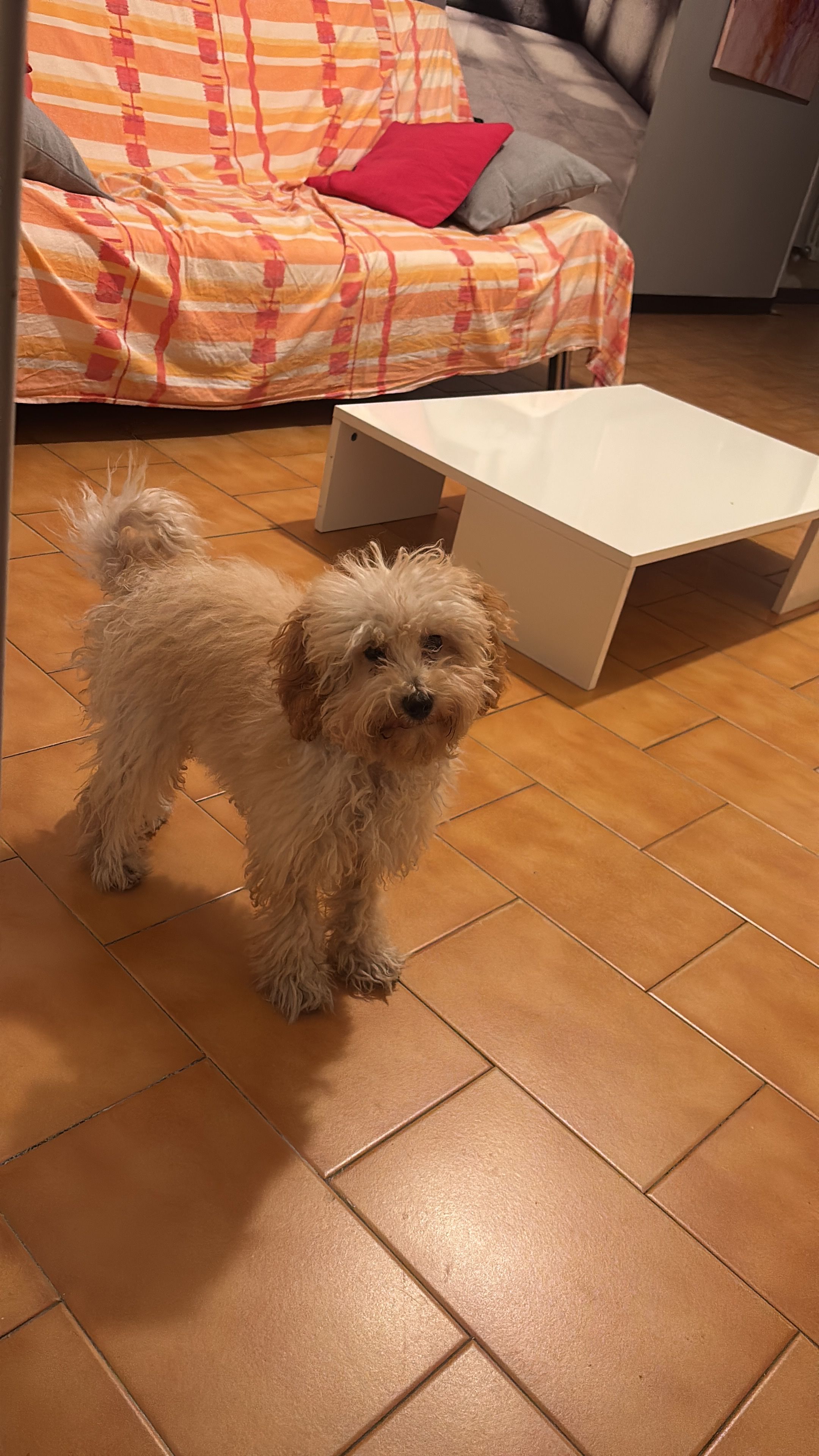 image-11