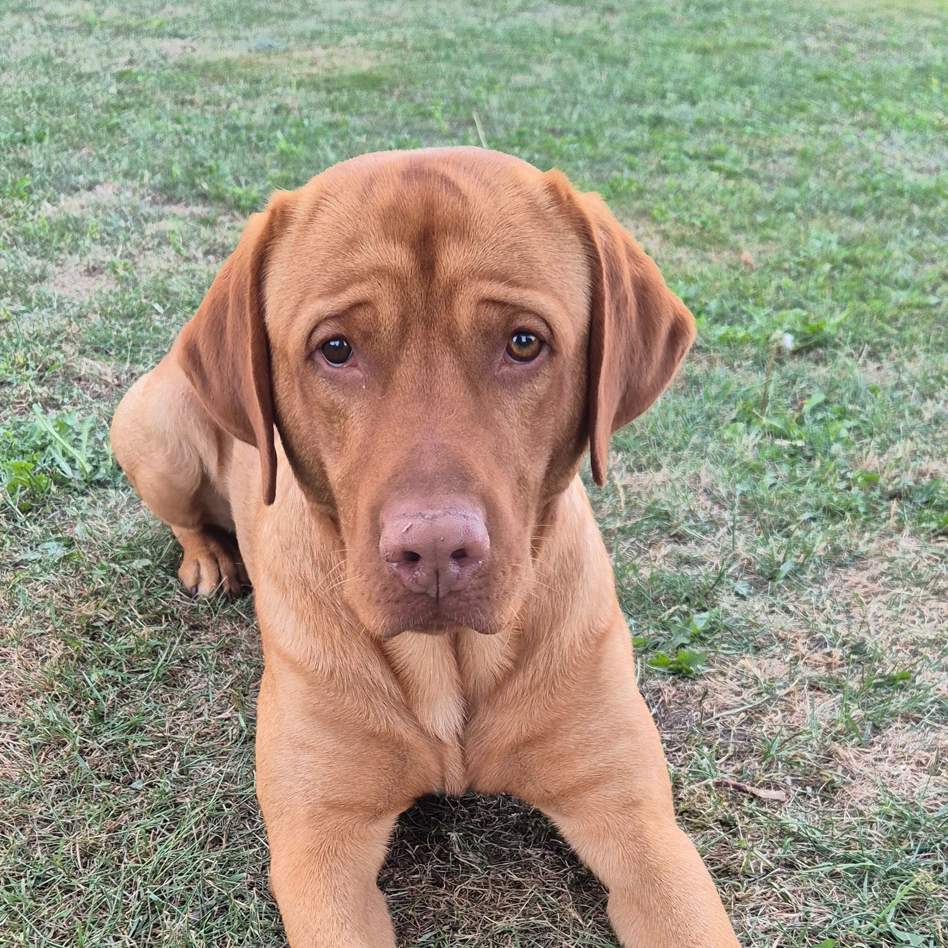 Jack