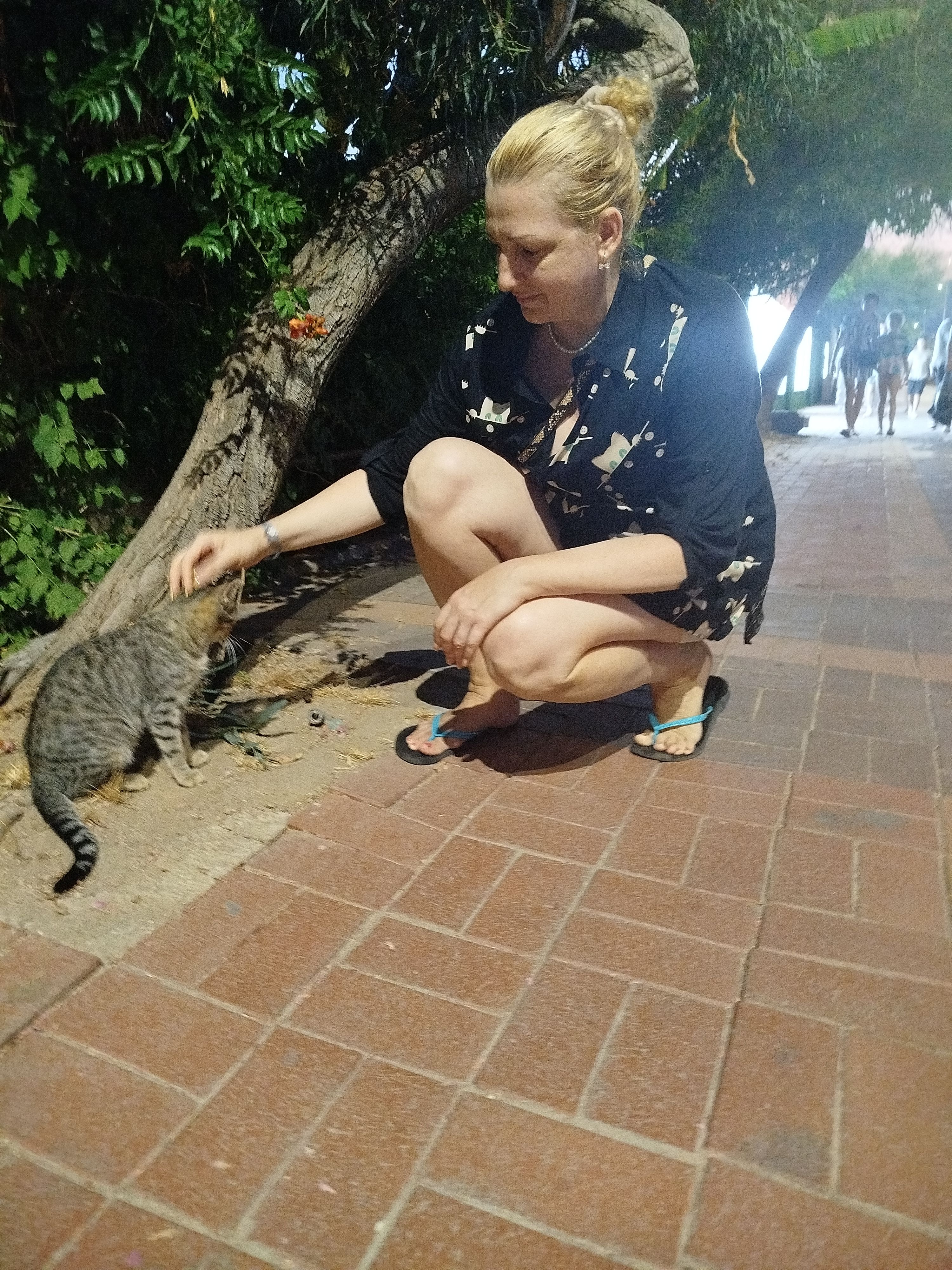 image-4