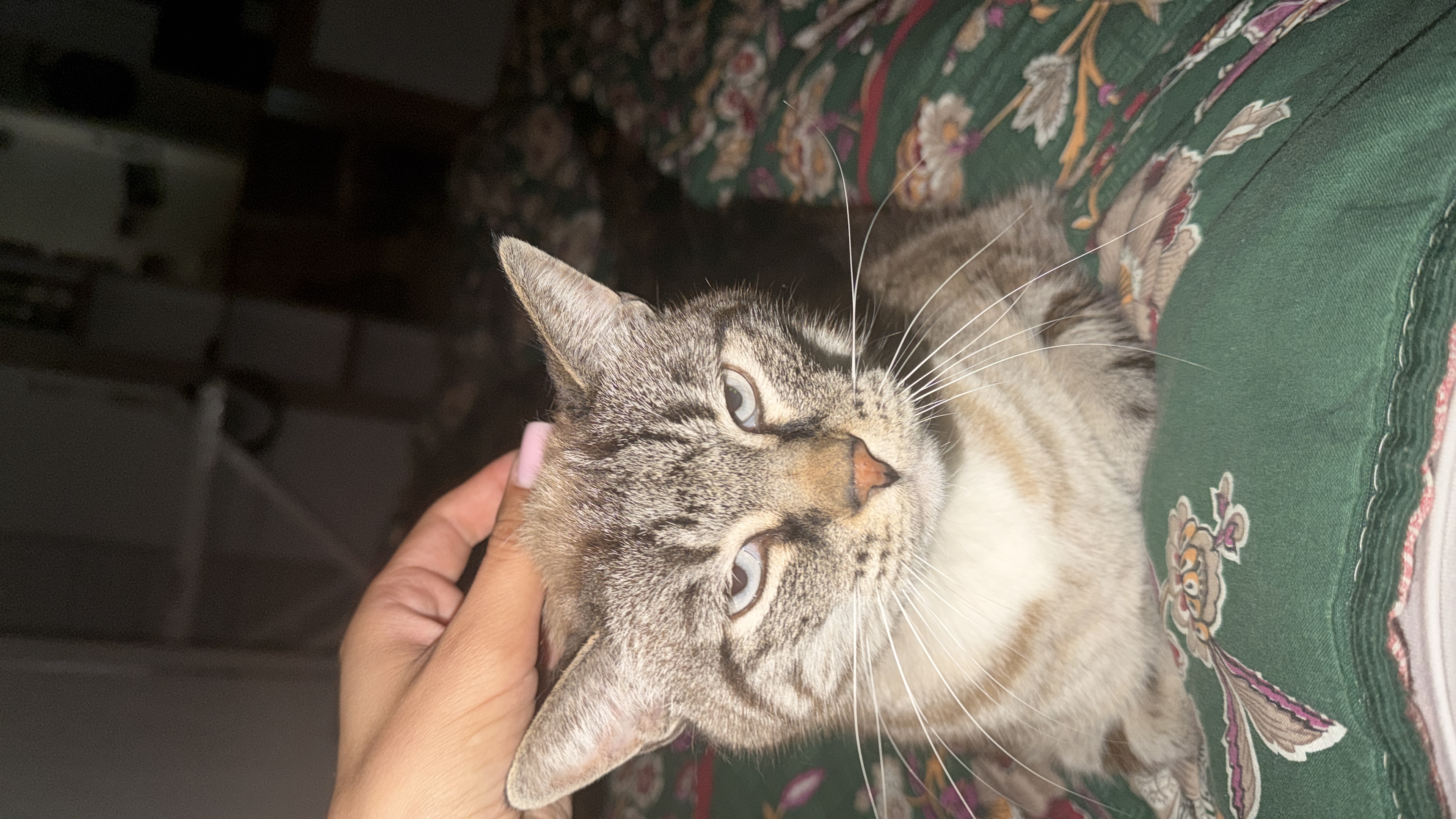 image-5
