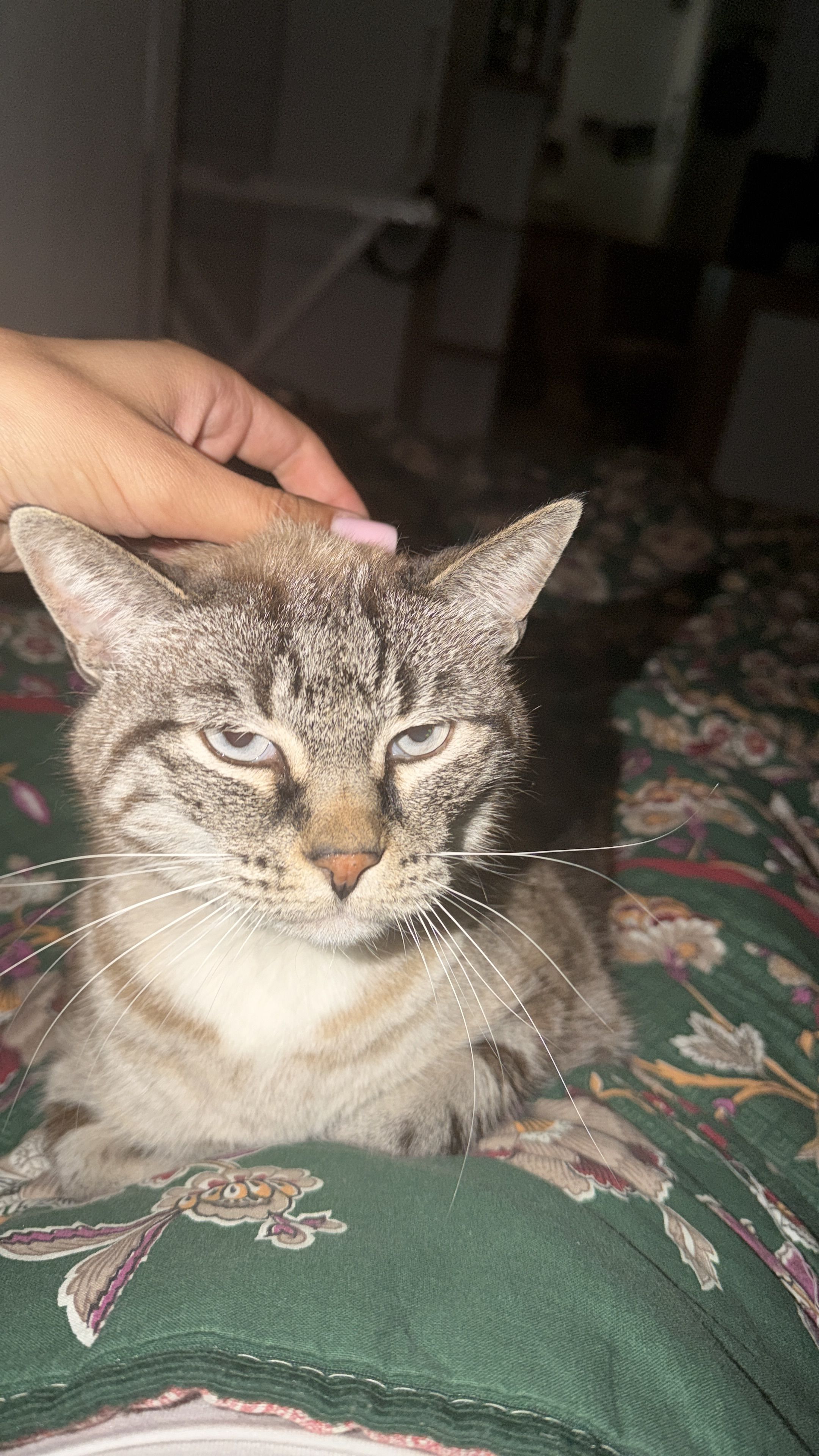 image-5
