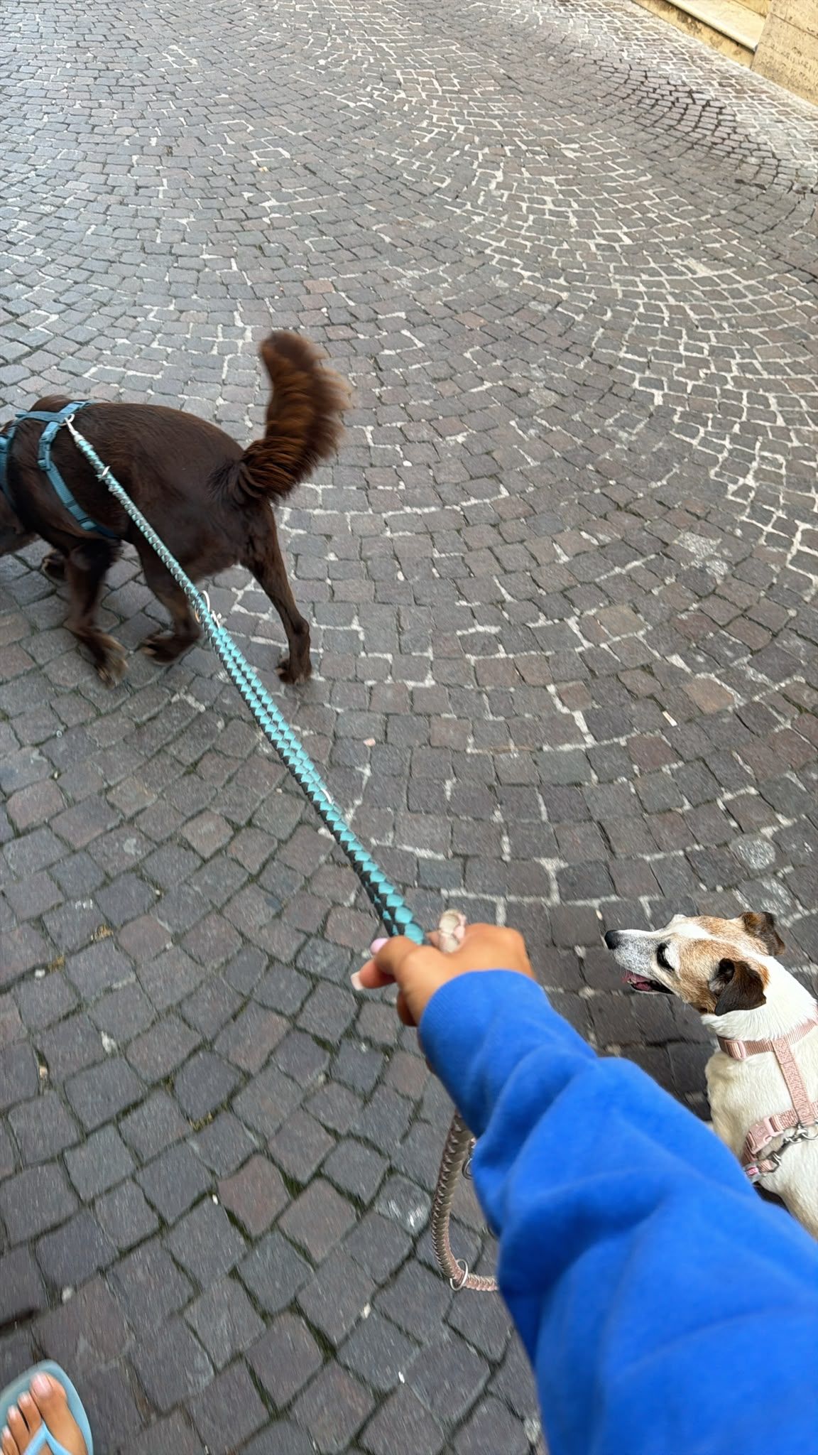 image-7