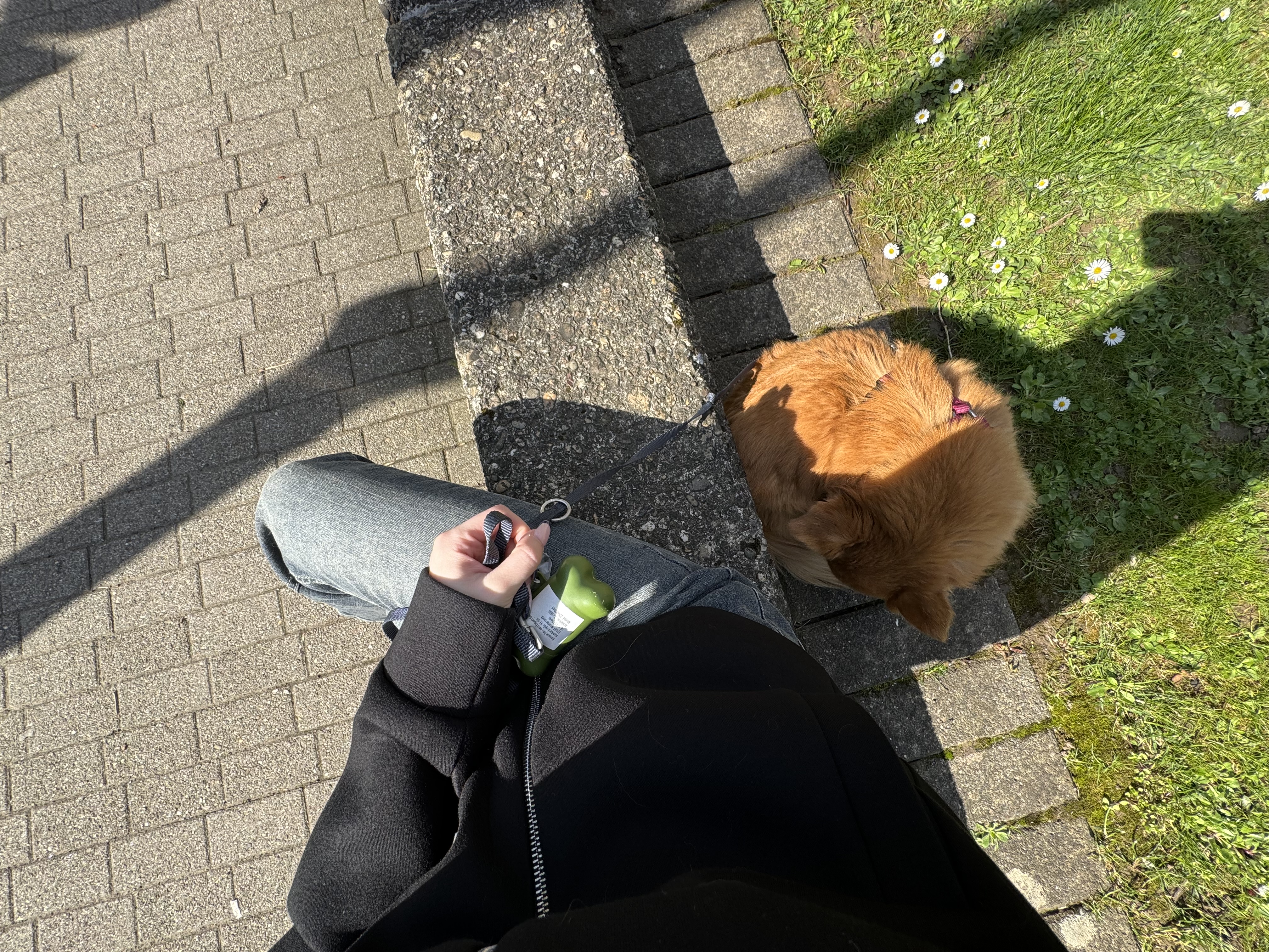 image-15