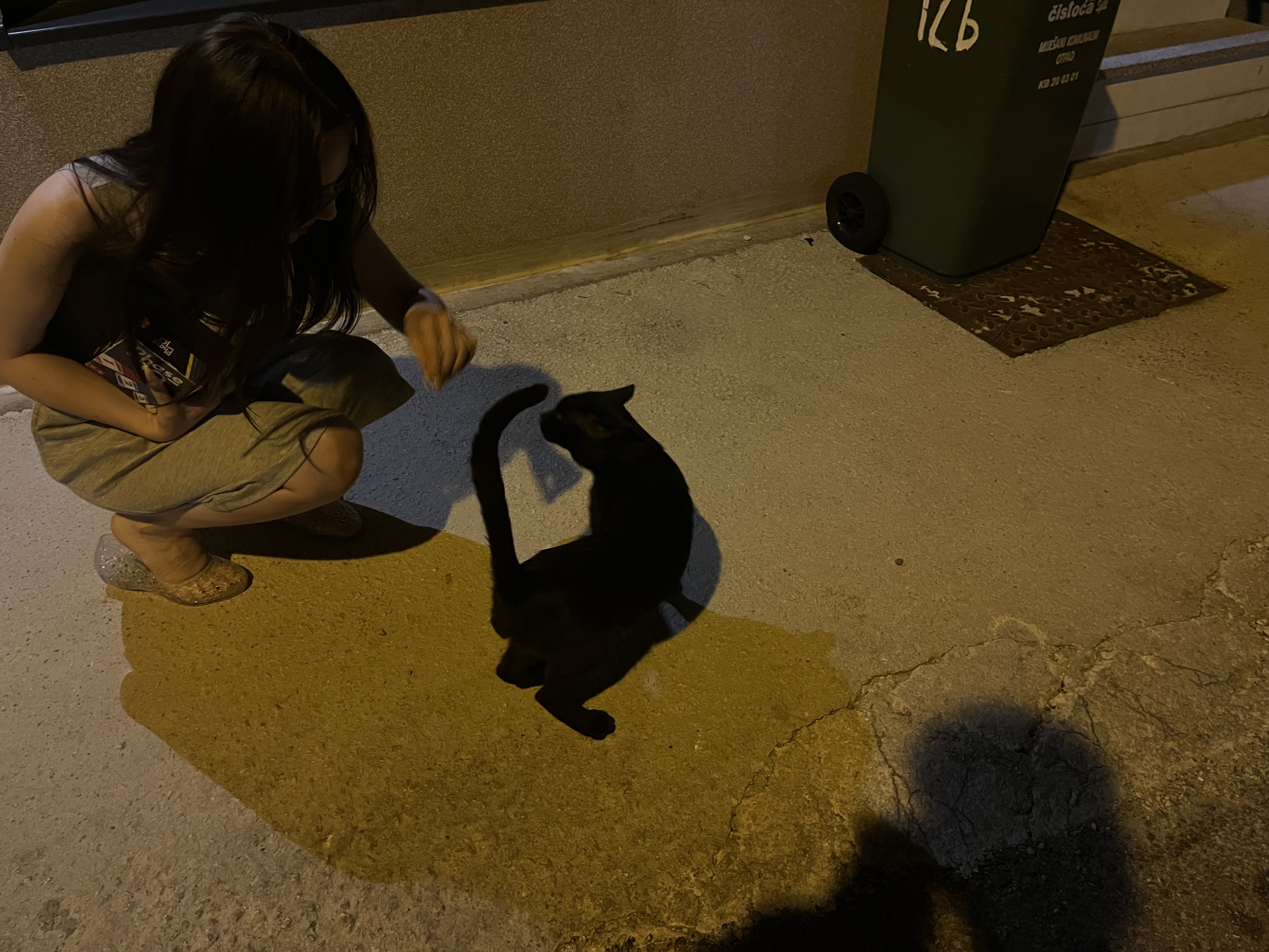 image-8
