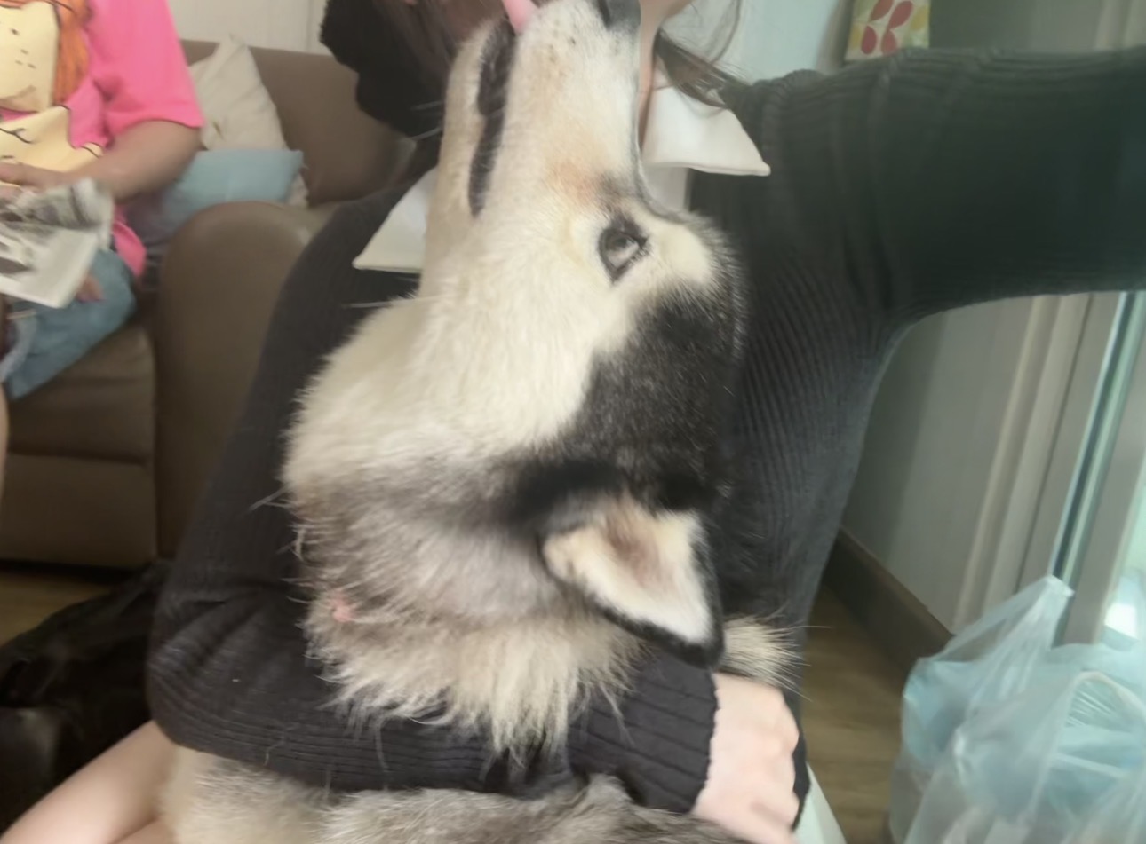 image-6