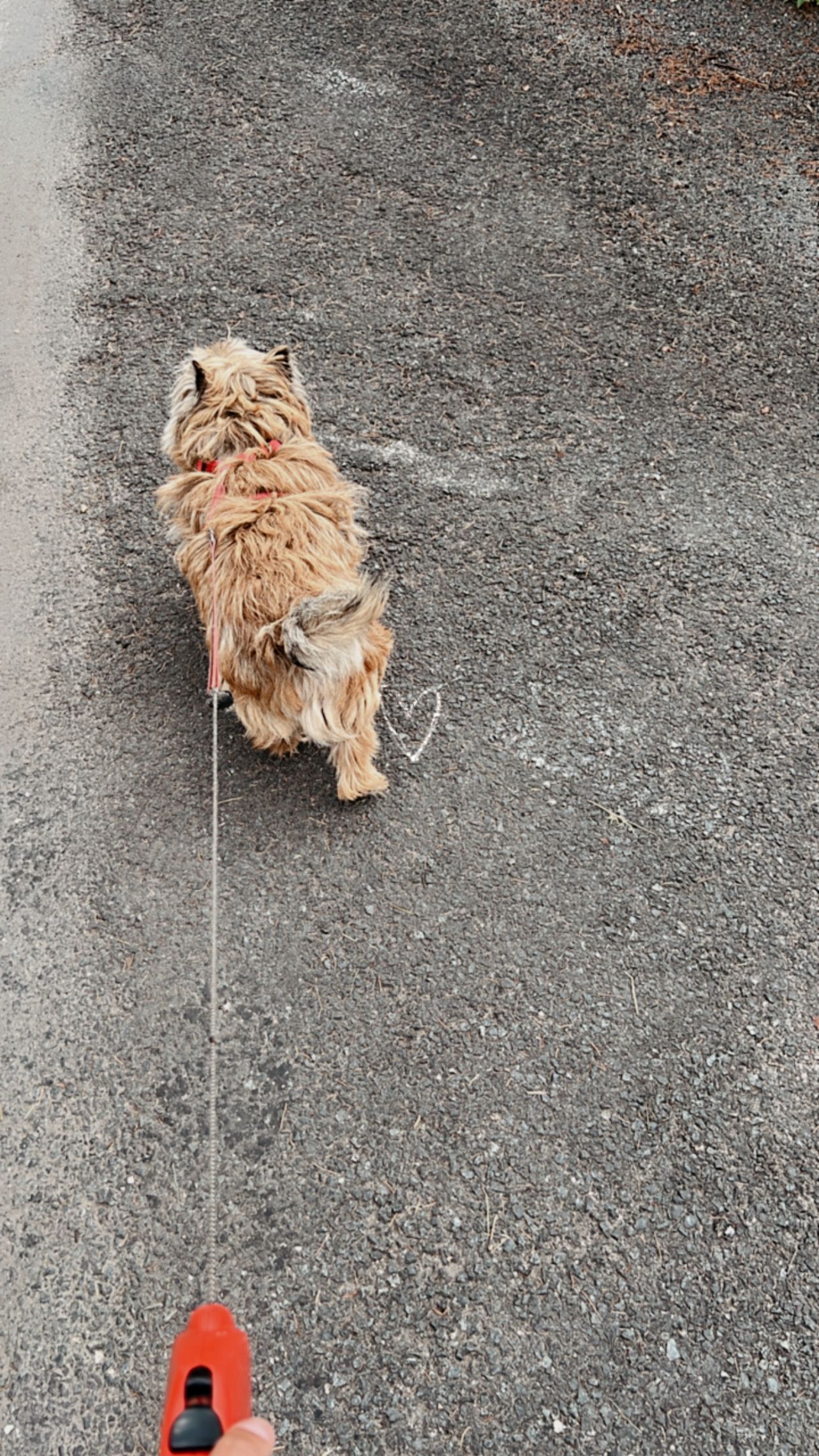 image-7