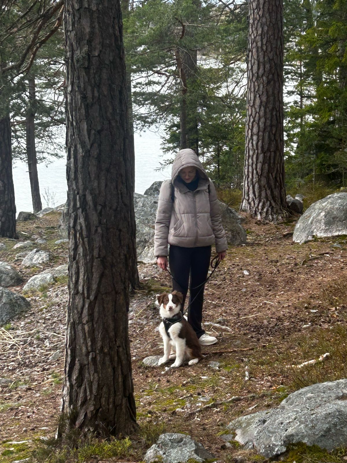image-8