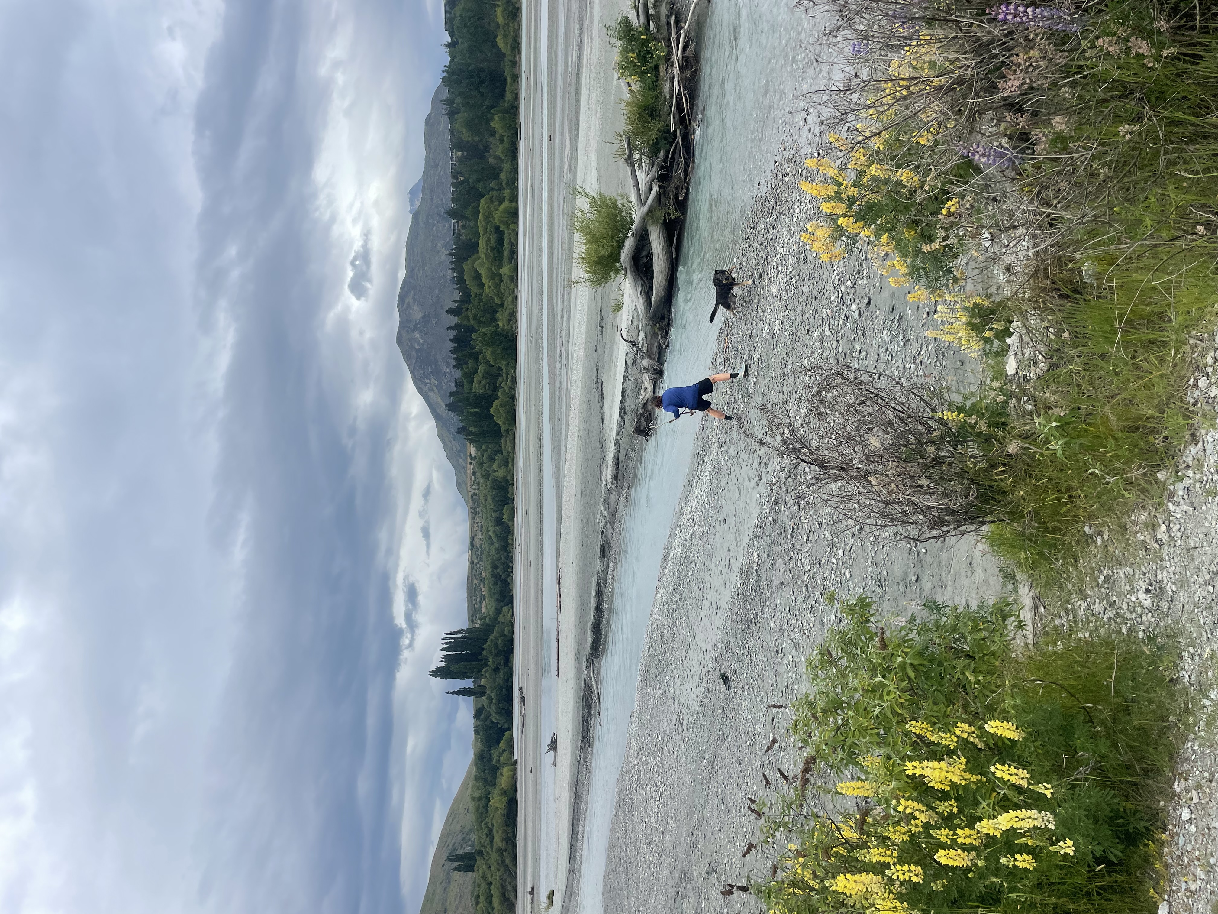 image-4
