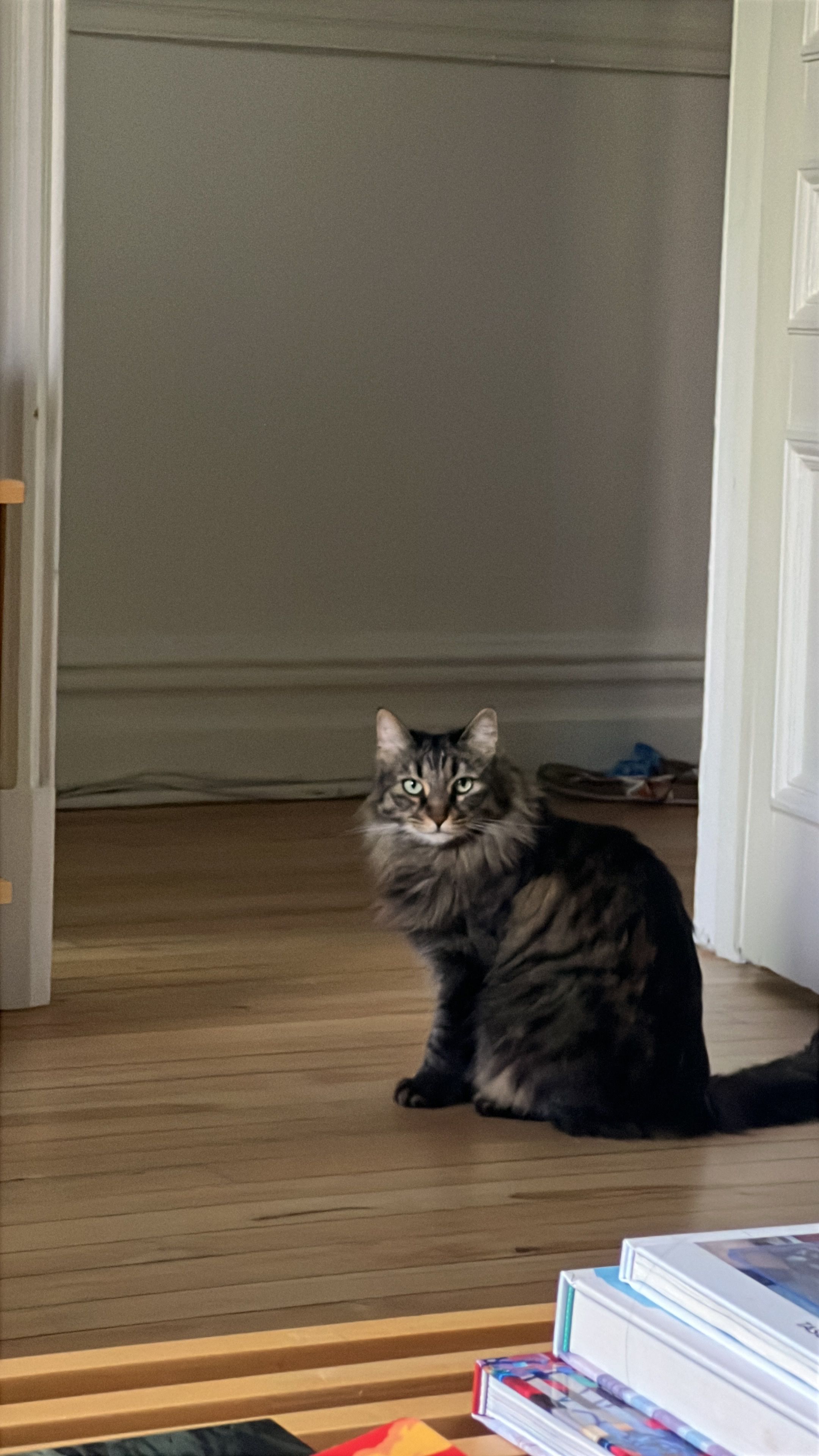 image-17