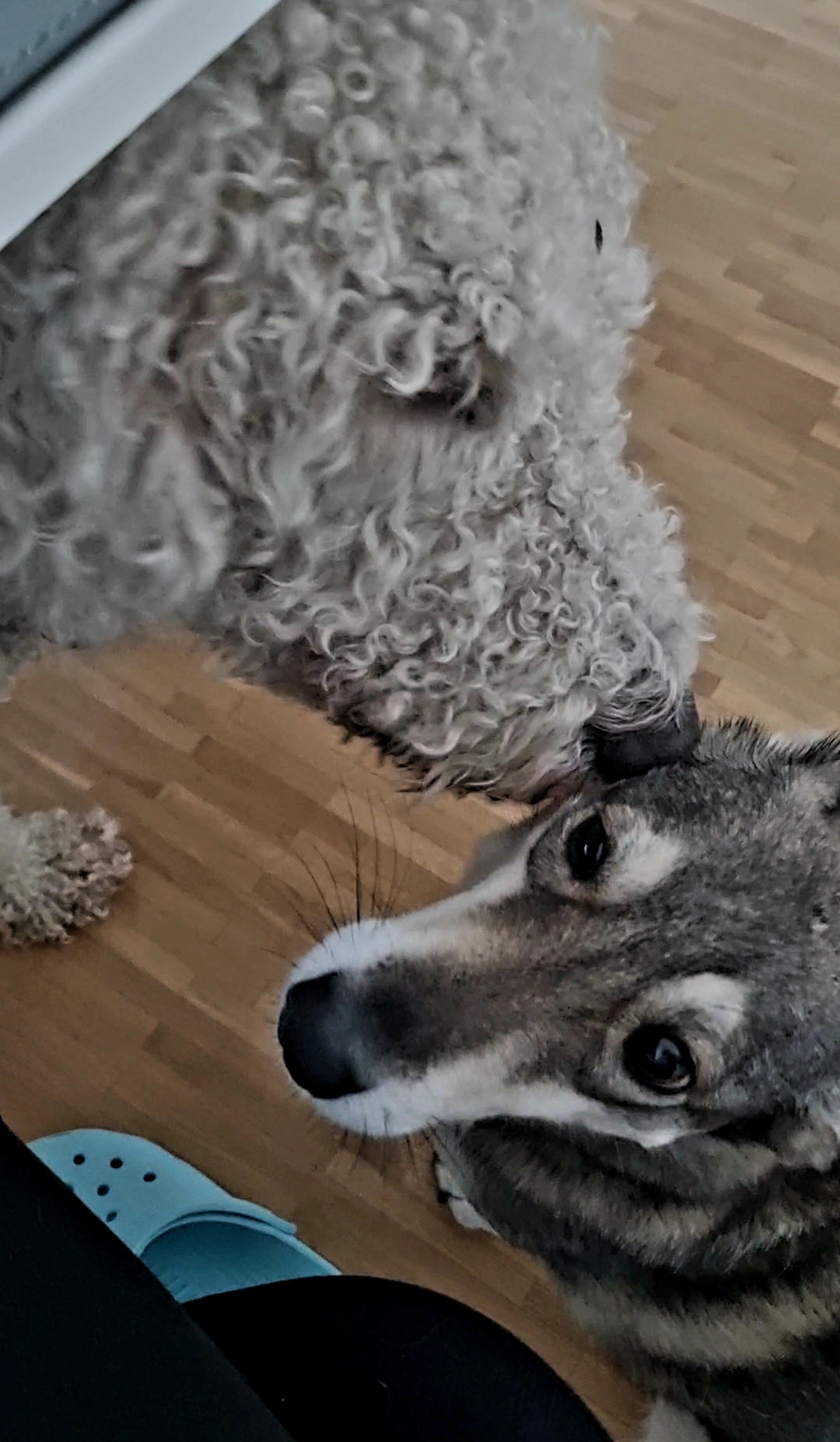 image-16
