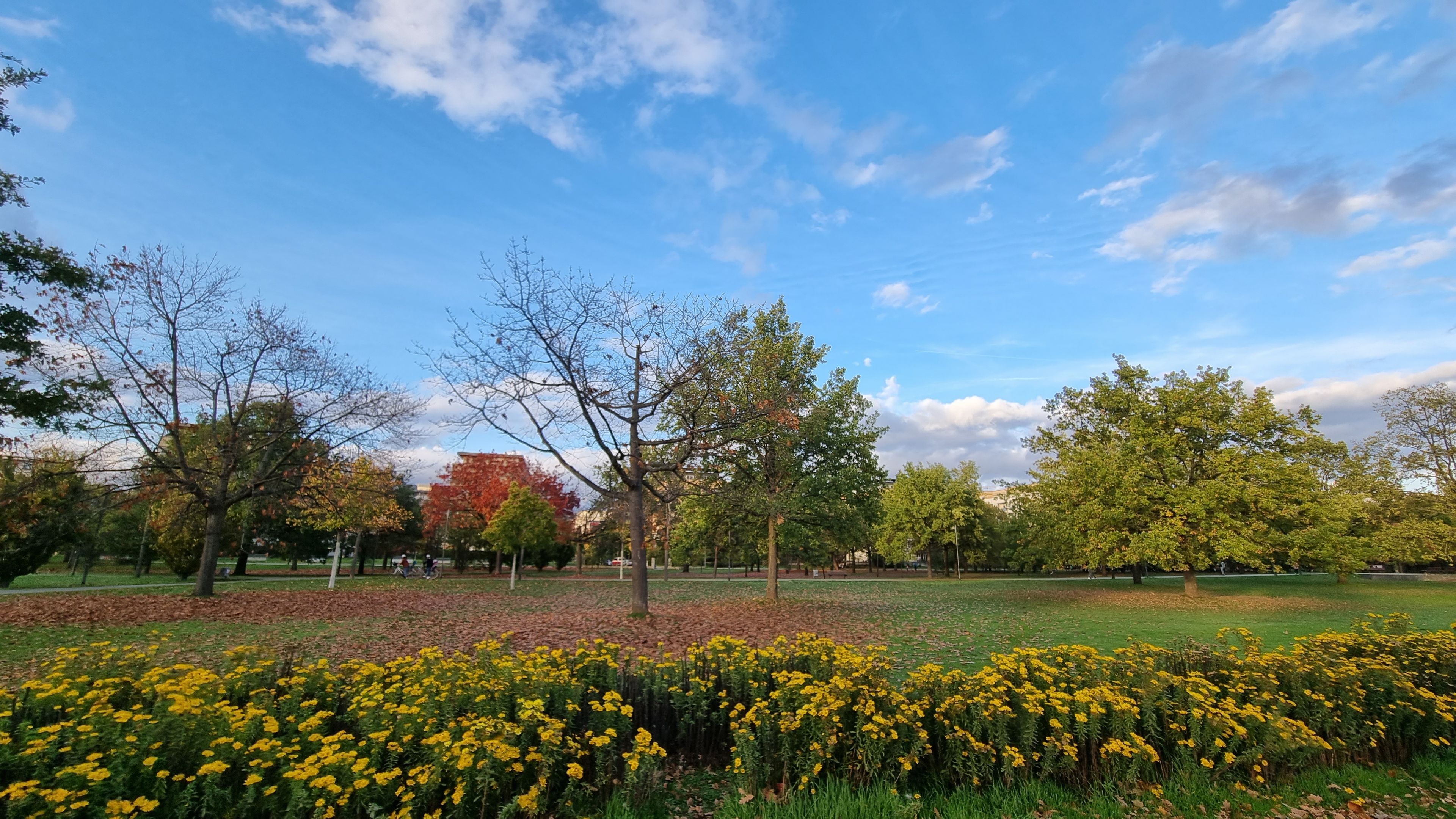 image-20