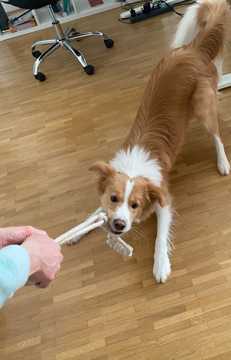 image-8